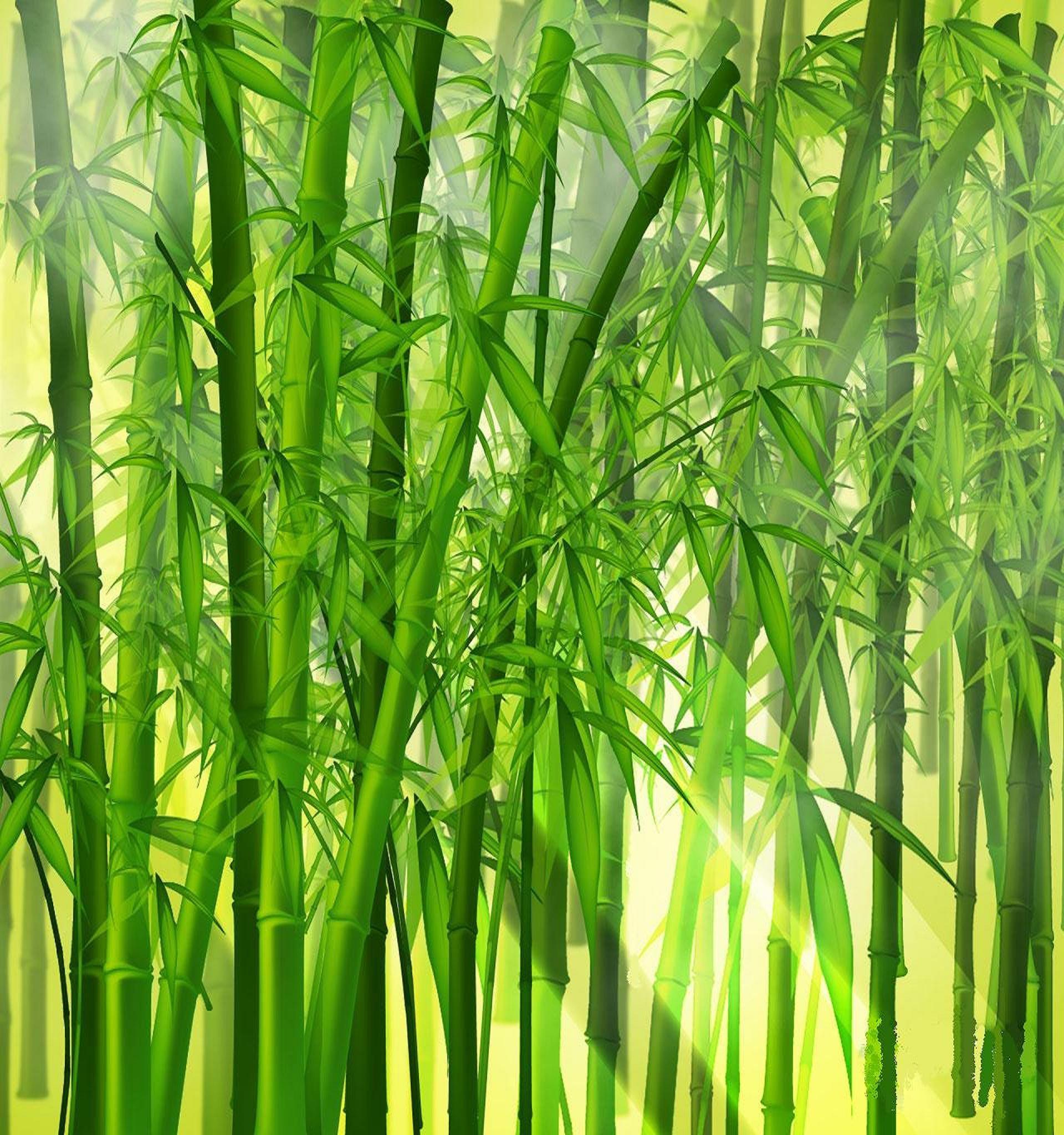 Japanese Bamboo Art Wallpapers - Top Free Japanese Bamboo Art ...