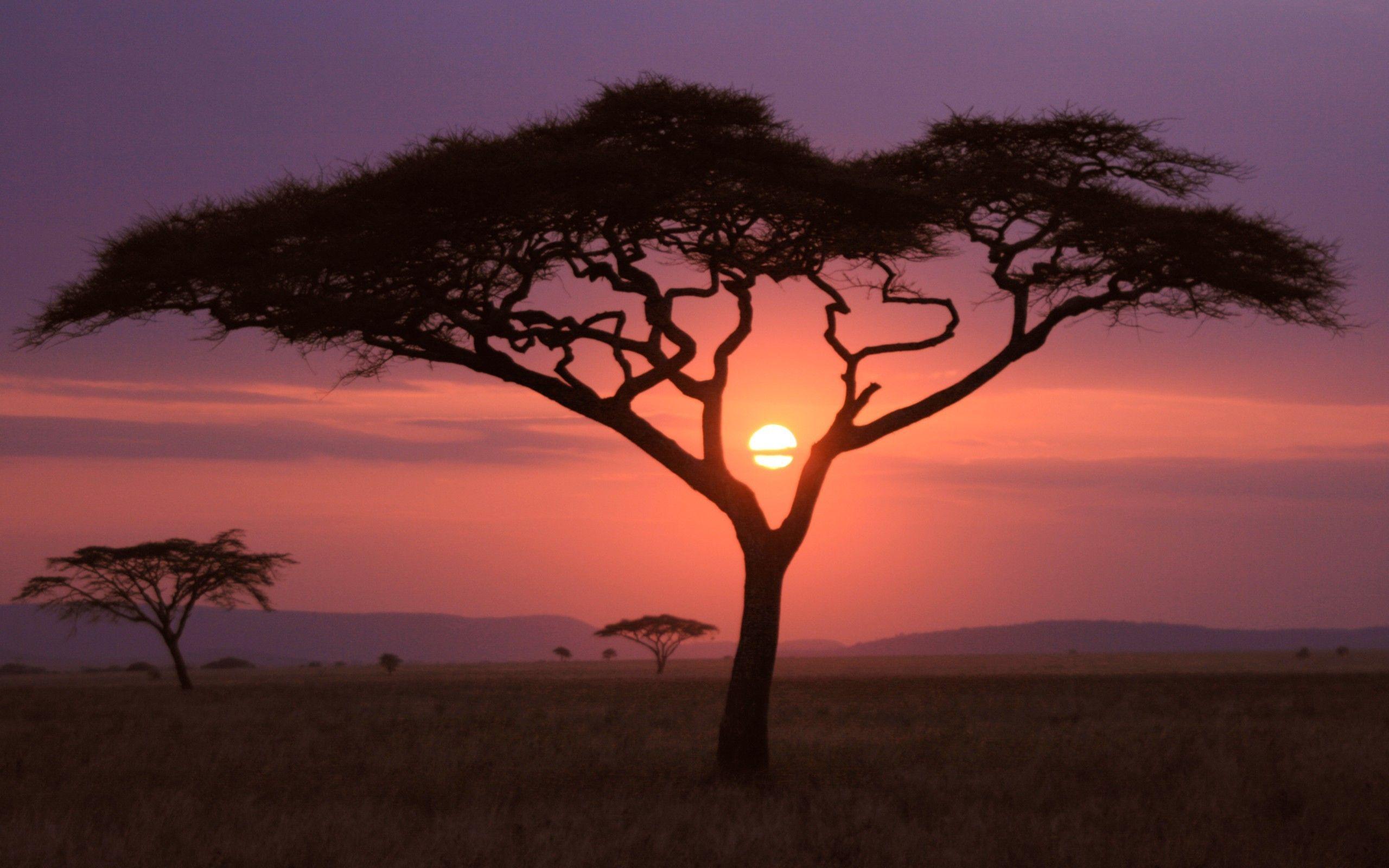 Africa 4K Wallpapers - Top Free Africa 4K Backgrounds - WallpaperAccess