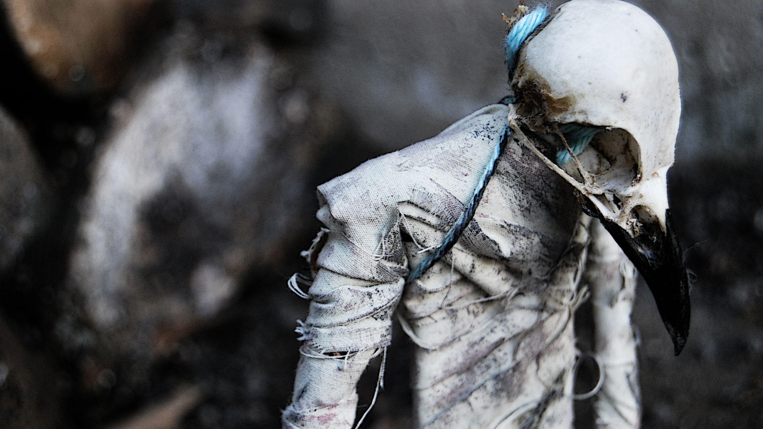 2560x1440 scary, dead, horror, spooky, death, creepy, beak, creepy, horror, dead desktop wallpaper 86945