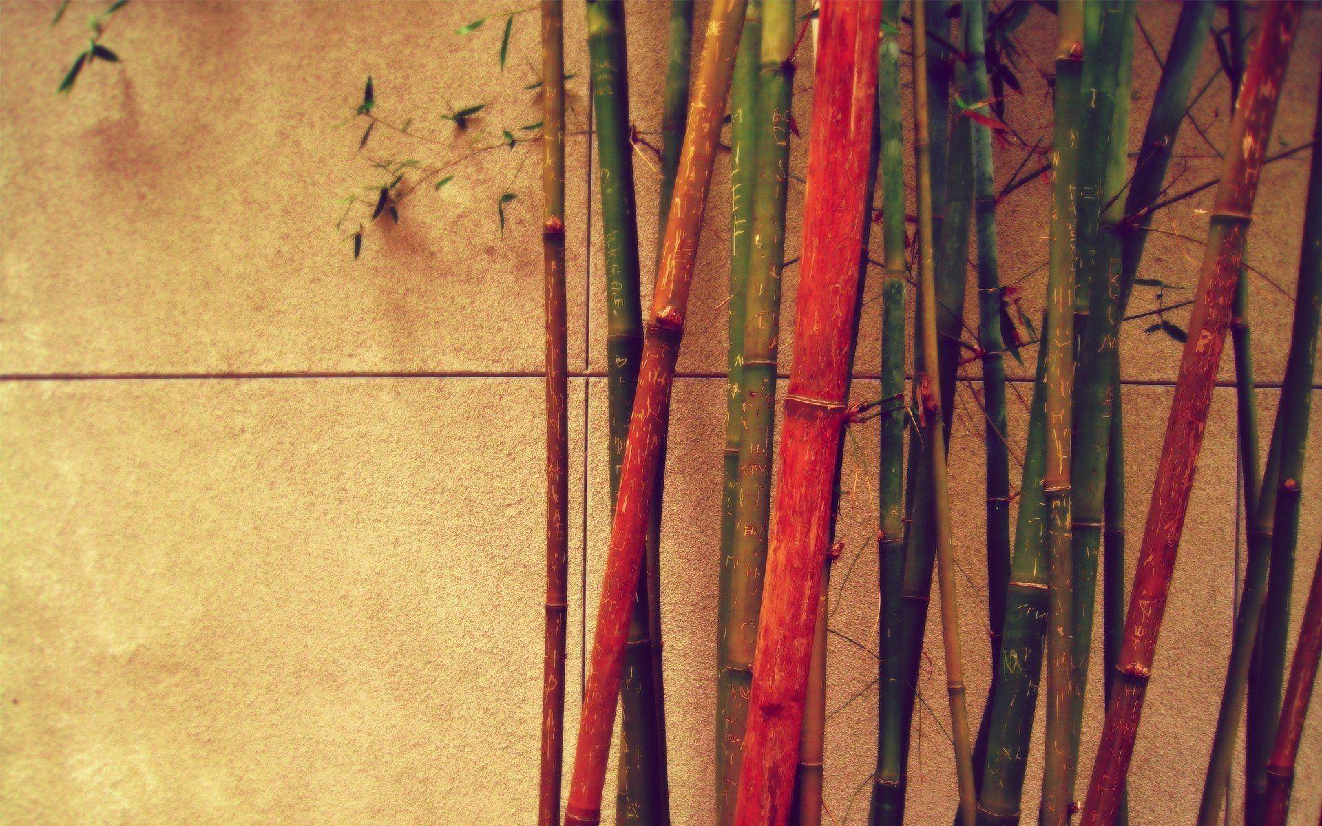 Japanese Bamboo Art Wallpapers Top Free Japanese Bamboo Art