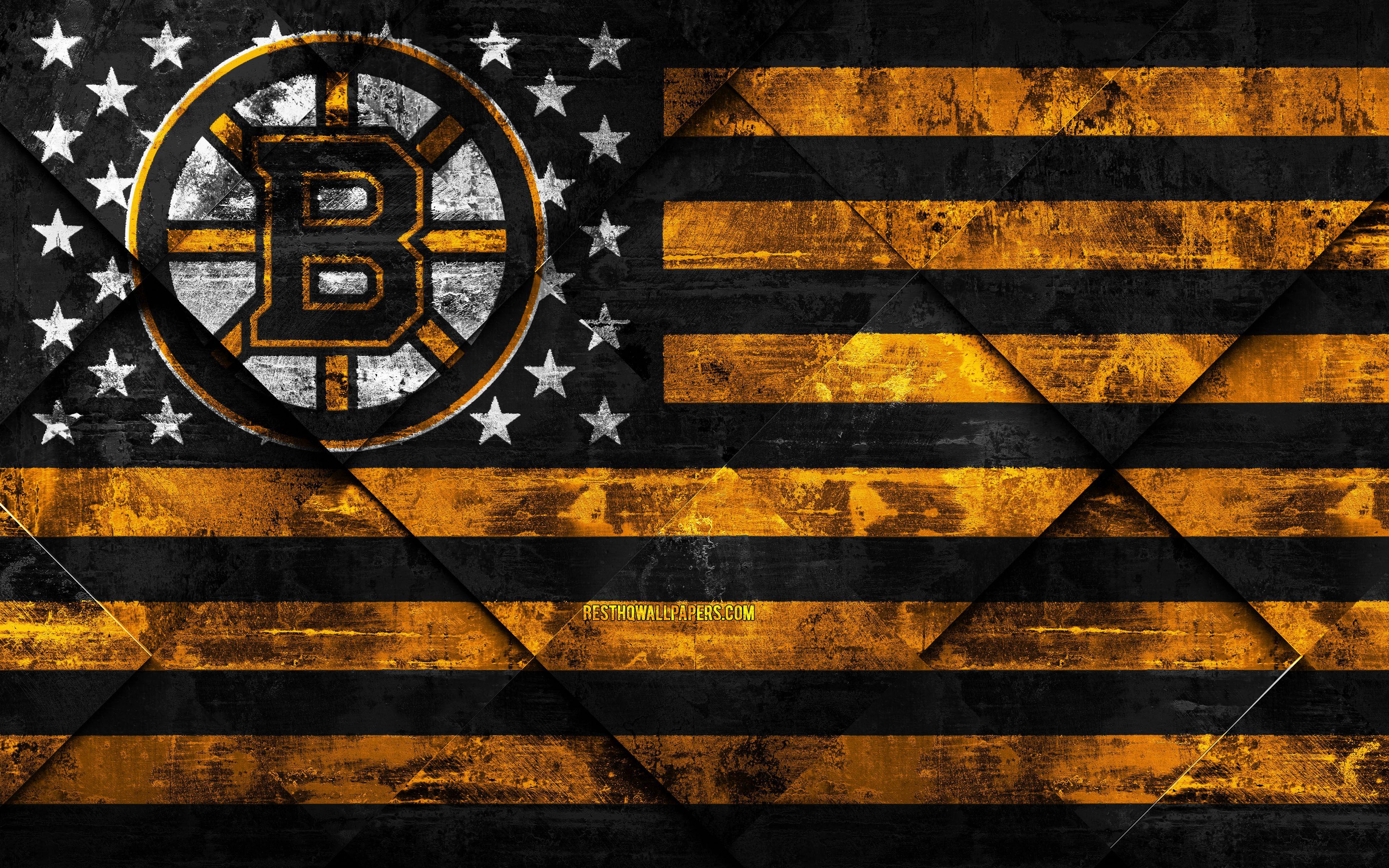 3840x2400 Boston Bruins, 4k, American Hockey Club, Grunge Art, Resolution Carolina Panthers