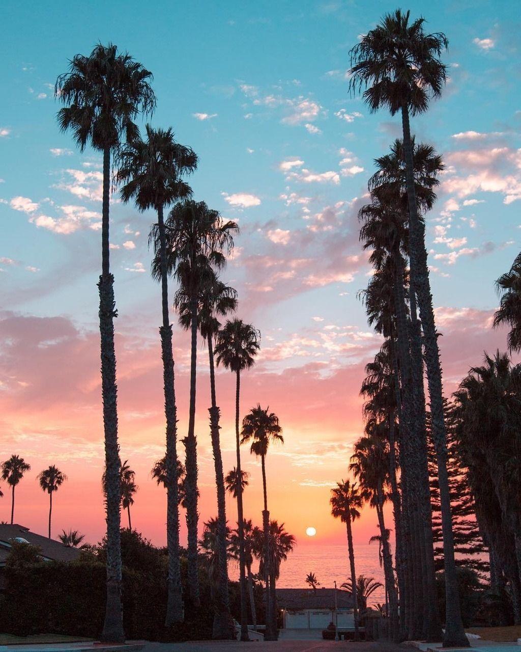 1024x1280 La Jolla Beach San Diego California by CaliforniaFeelings.com california cali LA CA SF. California palm trees, Palm trees wallpaper, Palm tree sunset