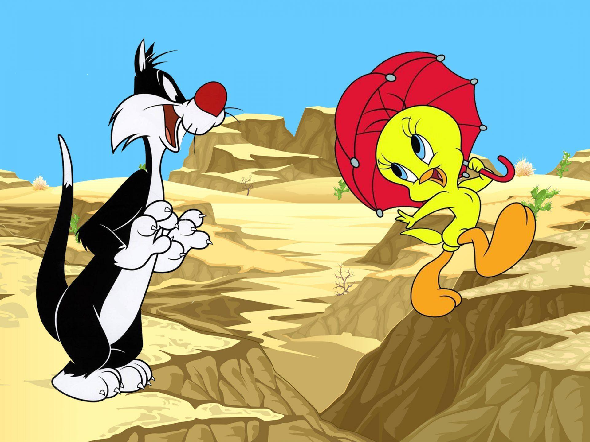 1920x1440 Tweety Bird And Sylvester Cat Cartoon Desert Scenery Picture Desktop Wallpaper HD Free Download 2560x1600 :