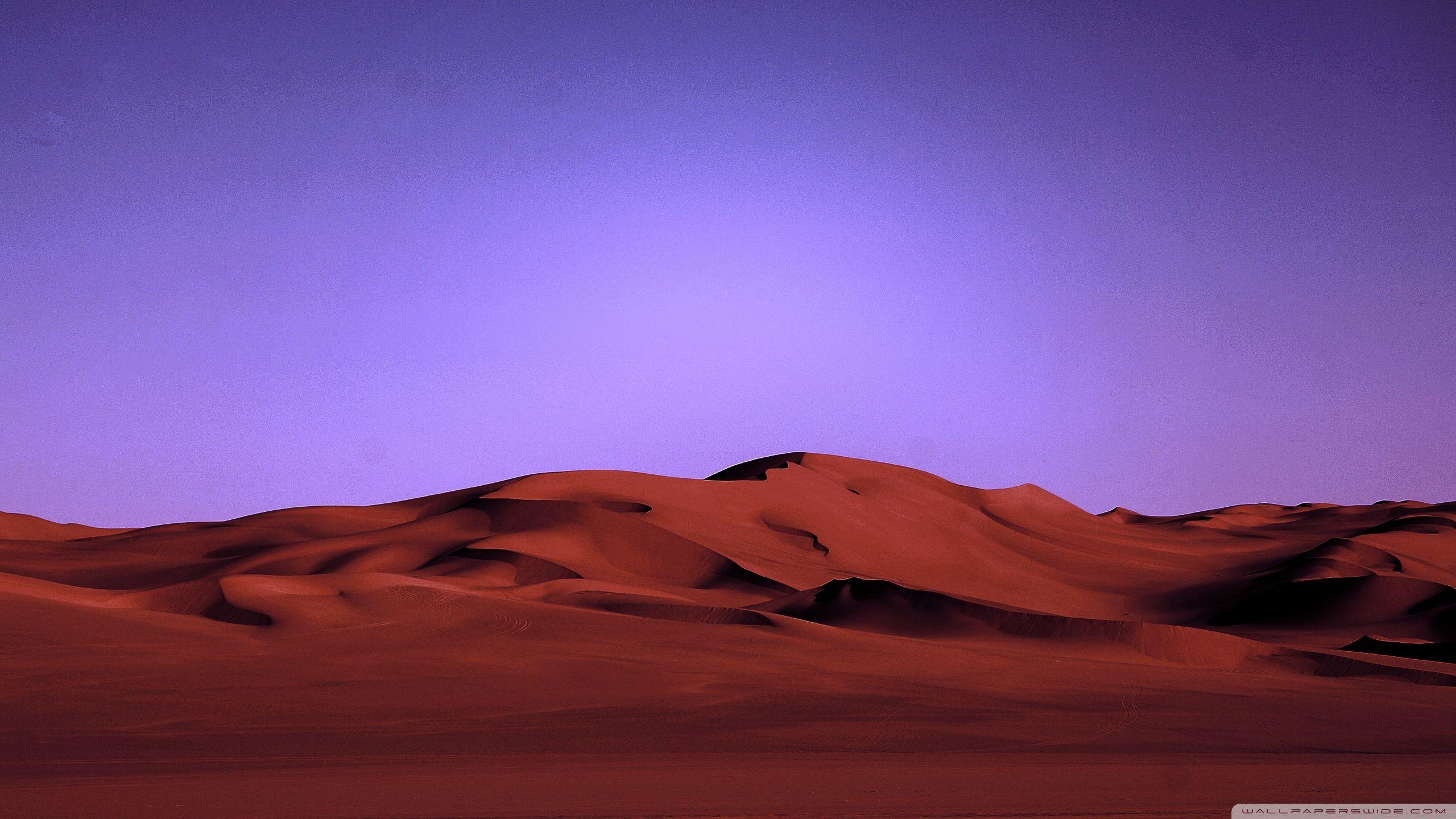 2560x1440 Desert Night Ultra HD Desktop Background Wallpaper for 4K UHD TV : Multi Display, Dual Monitor : Tablet