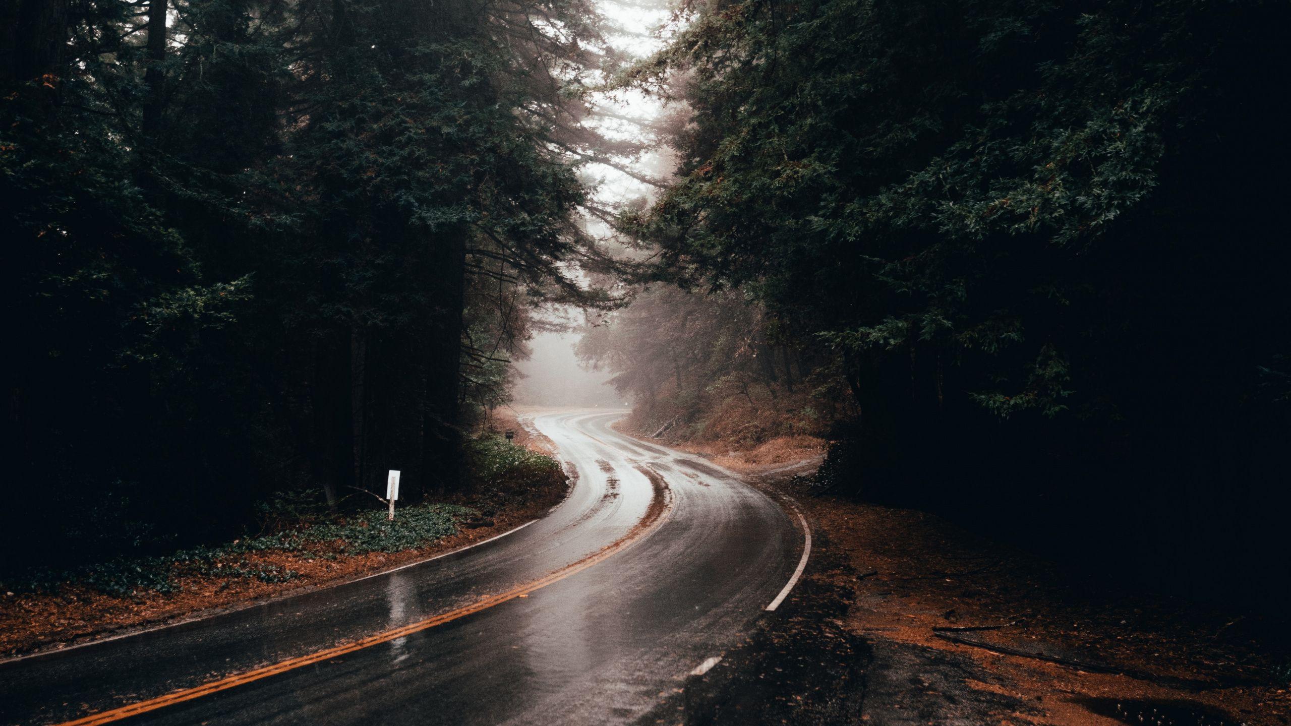 road trip on a rainy day