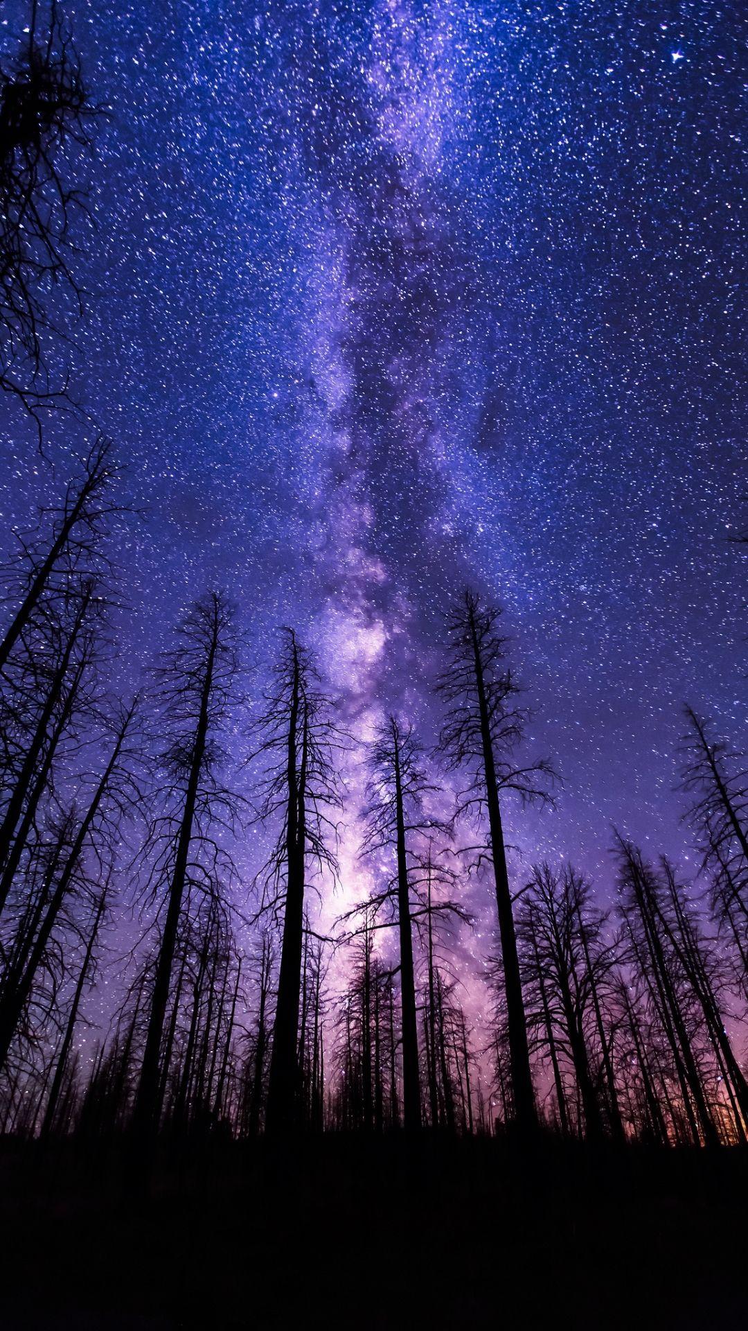 1080x1920 Сool Nature iPhone Picture