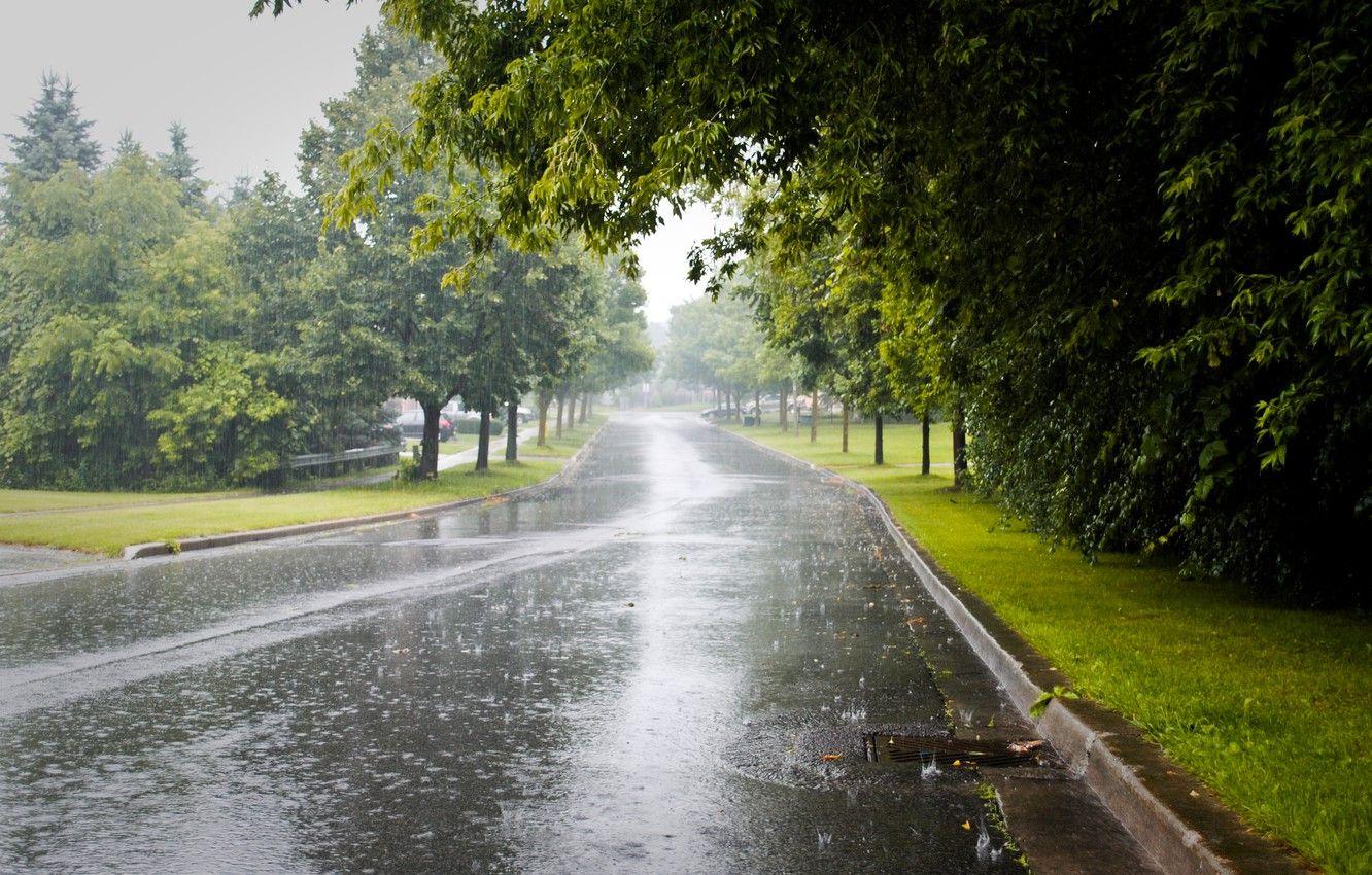1332x850 Wallpaper city, road, trees, rainy day image for desktop, section разное