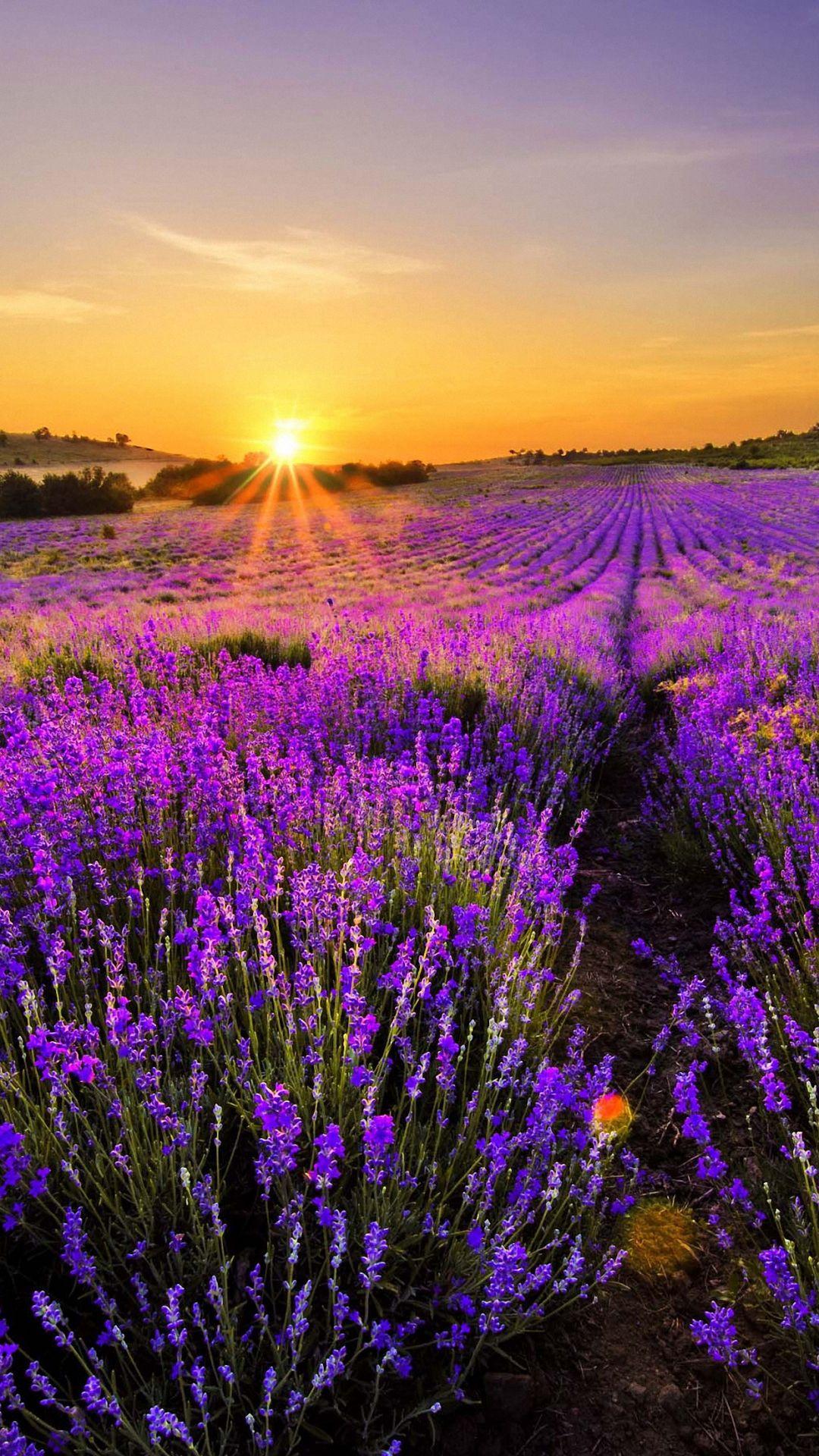 1080x1920 Nature Background for Phones. Beautiful Nature Wallpaper, Awesome Nature Wallpaper and Pretty Nature Wallpaper