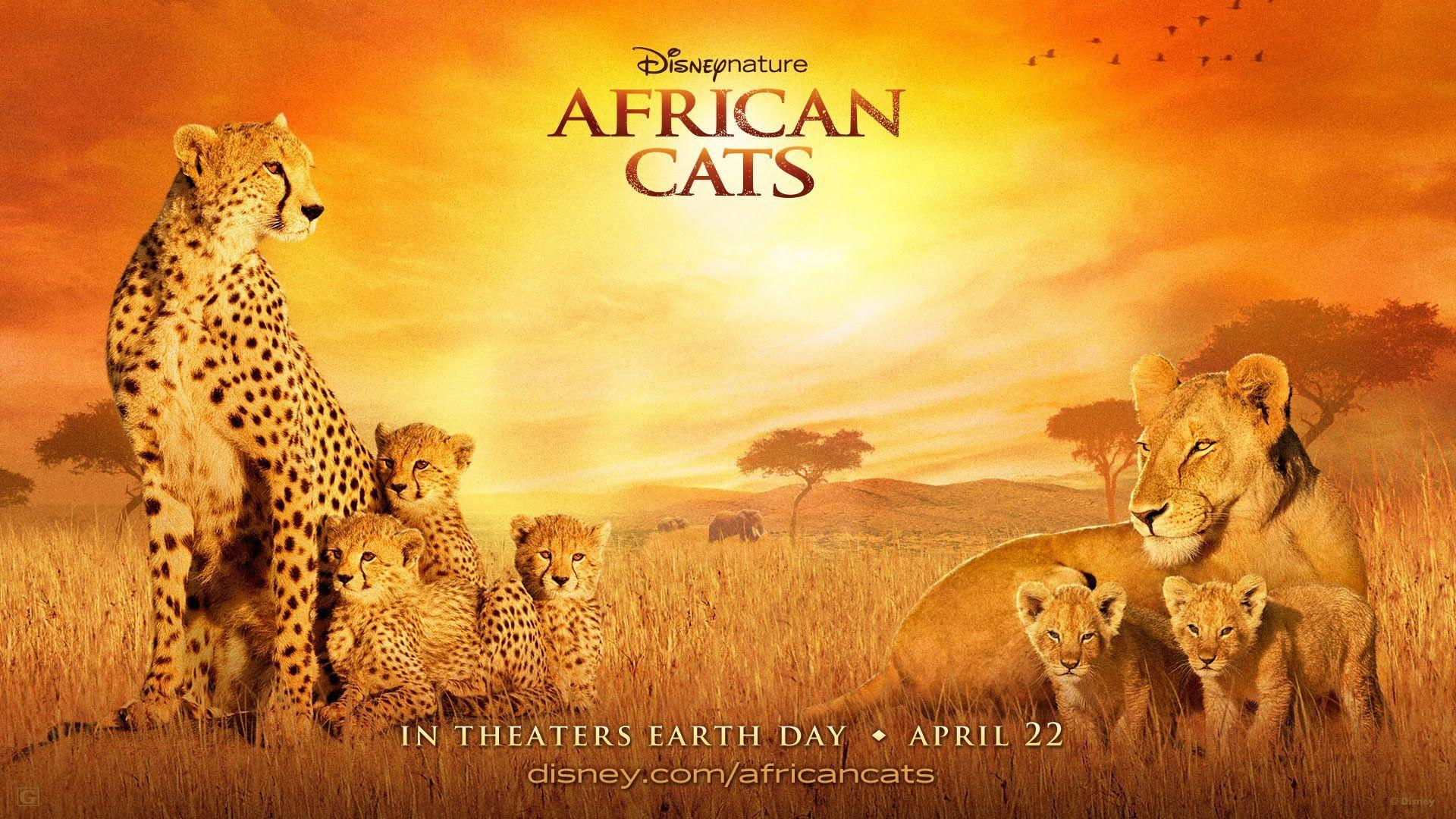1920x1080 African Cats wallpaper, Movie, HQ African Cats pictureK Wallpaper