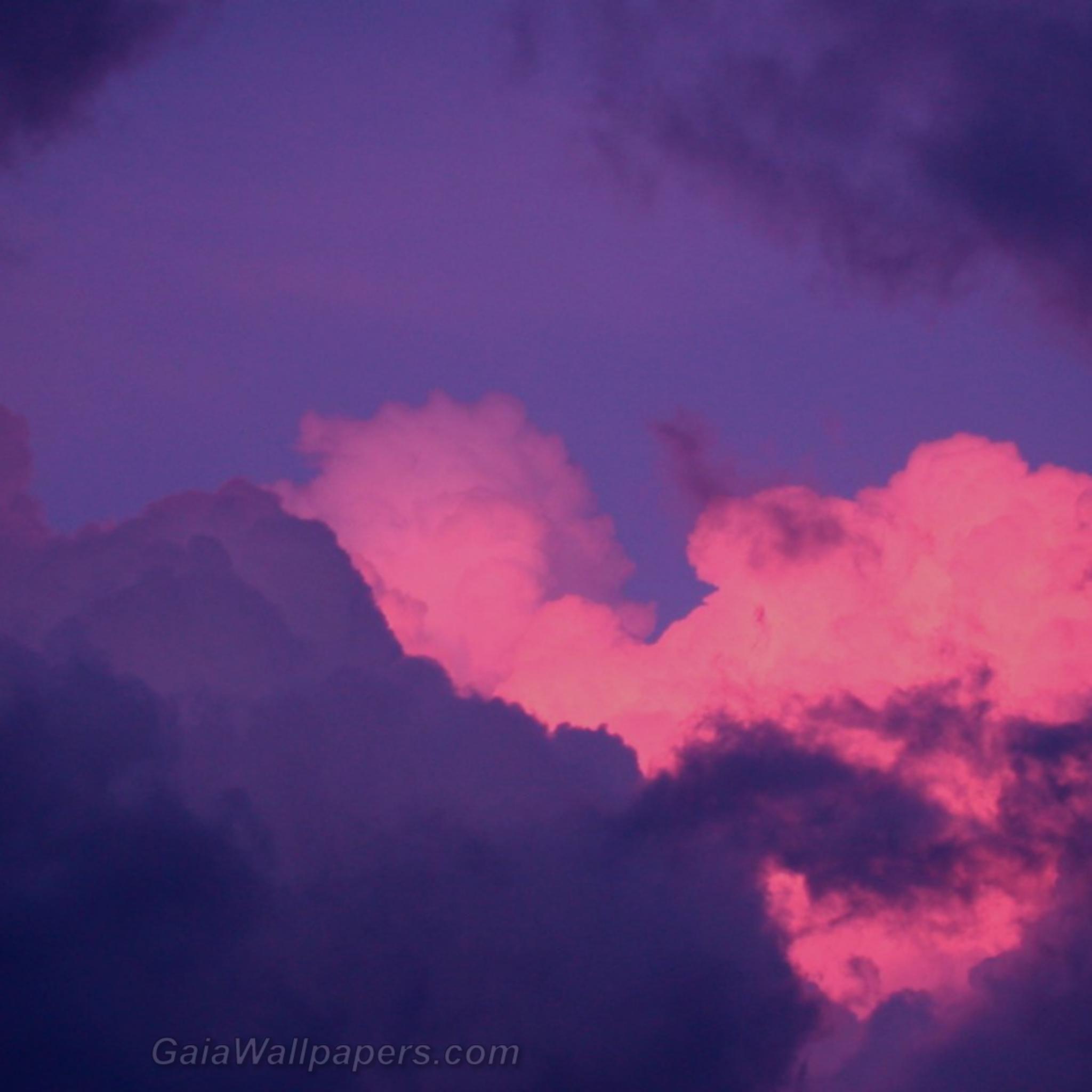 Pink and Purple Clouds Wallpapers Top Free Pink and Purple Clouds