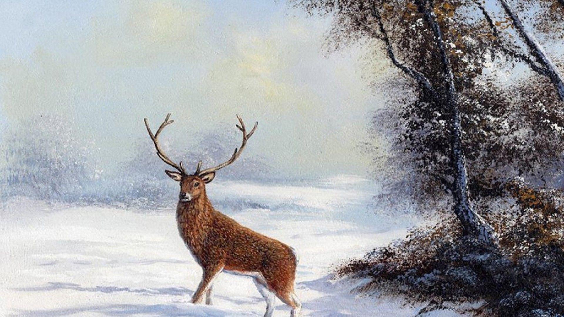1920x1080 Solitary Stag Trees Snow Deer Winter Desktop And Winter Wallpaper HD HD Wallpaper