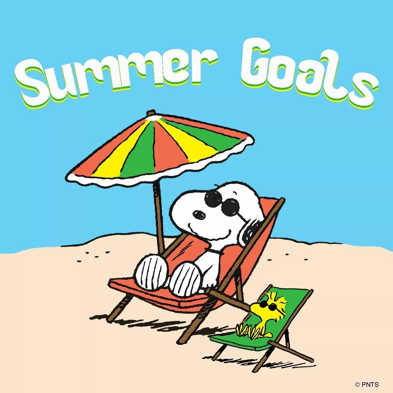 Snoopy Summer Wallpapers Top Free Snoopy Summer Backgrounds Wallpaperaccess 0652