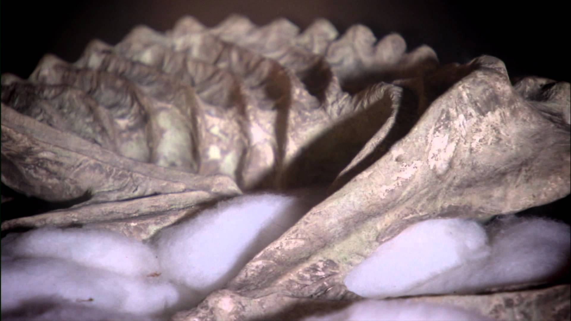 1920x1080 River Monsters Horrors Peek Clip 2