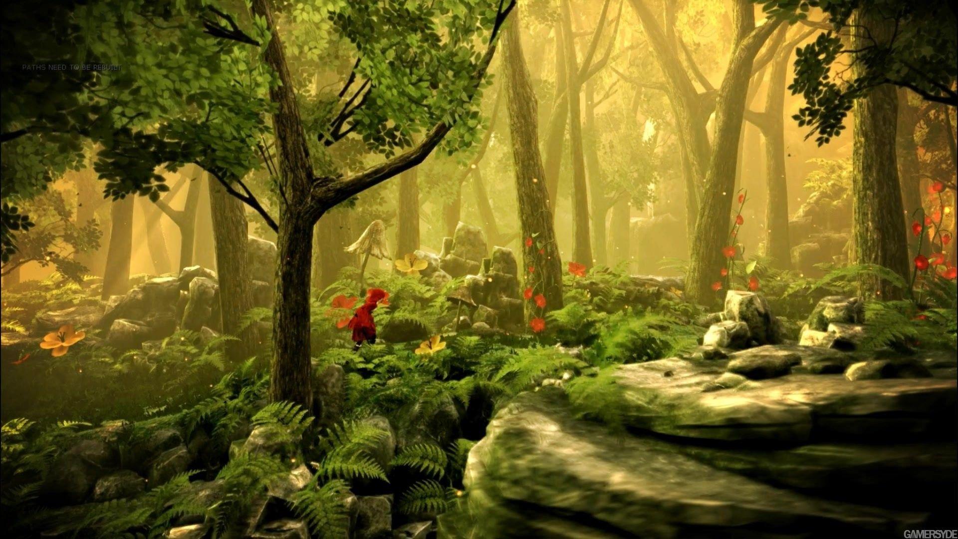 Fairy Forest Wallpapers - Top Free Fairy Forest Backgrounds