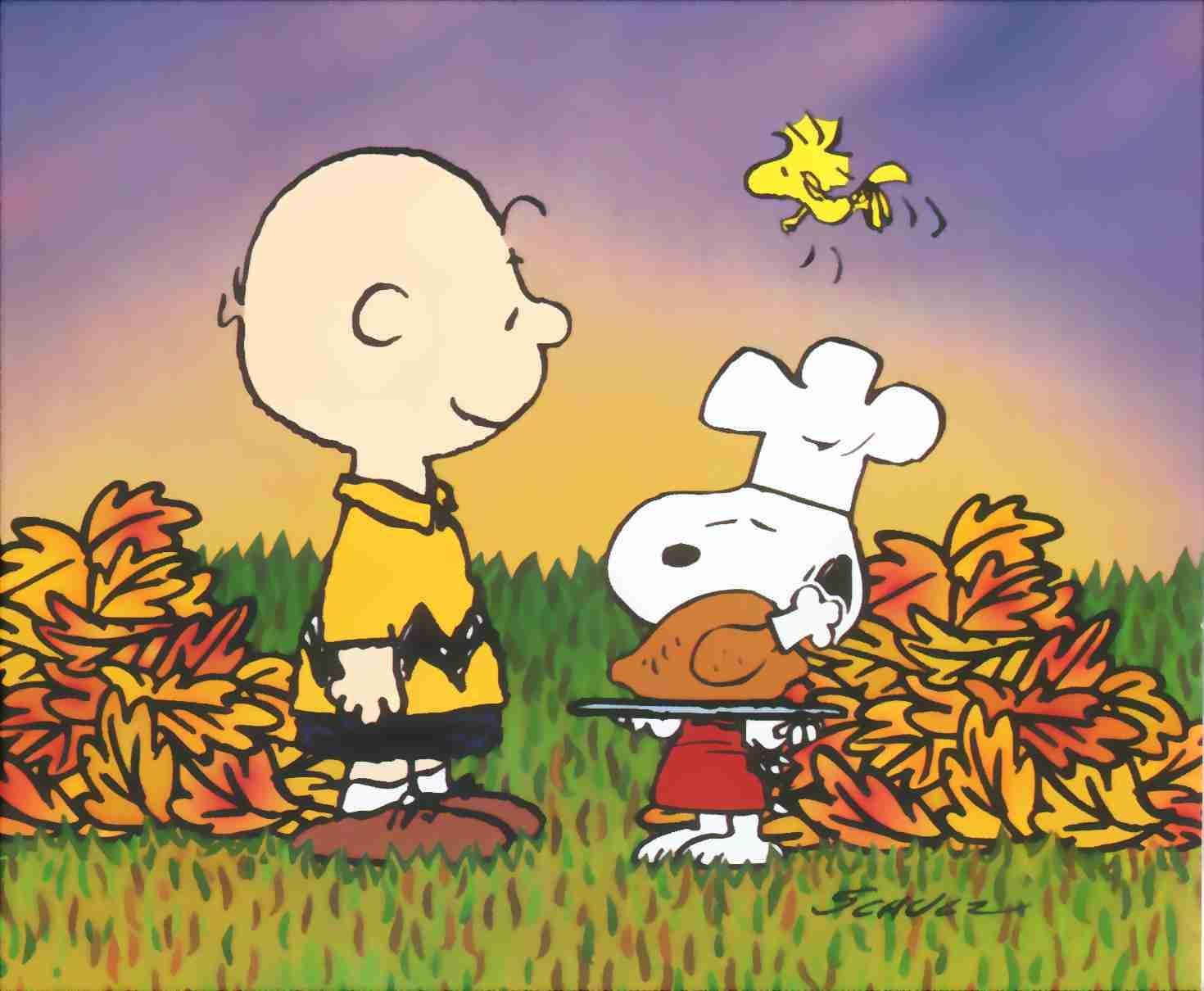 Charlie Brown Thanksgiving Wallpapers