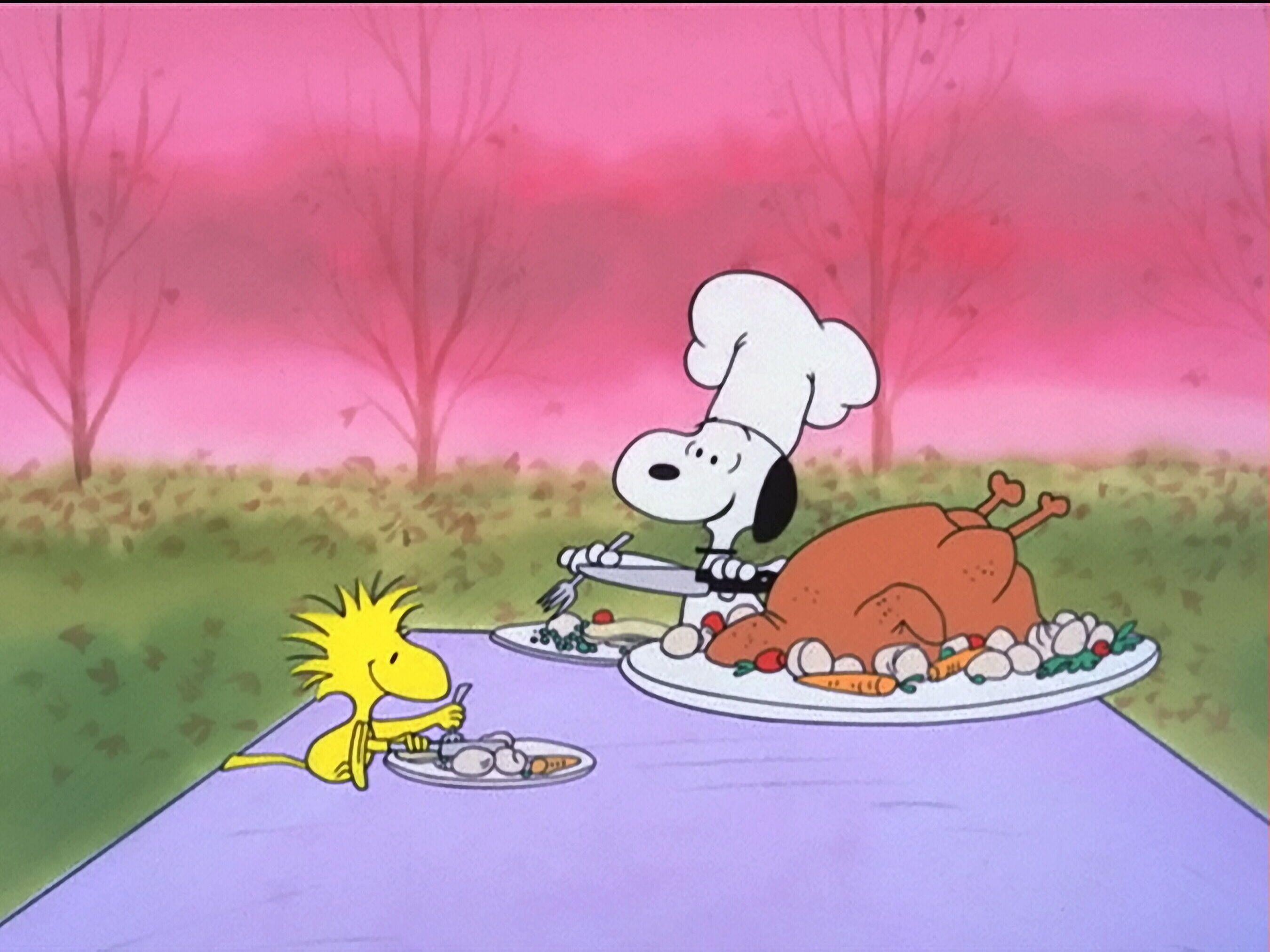 Charlie Brown Thanksgiving Wallpapers Top Free Charlie Brown