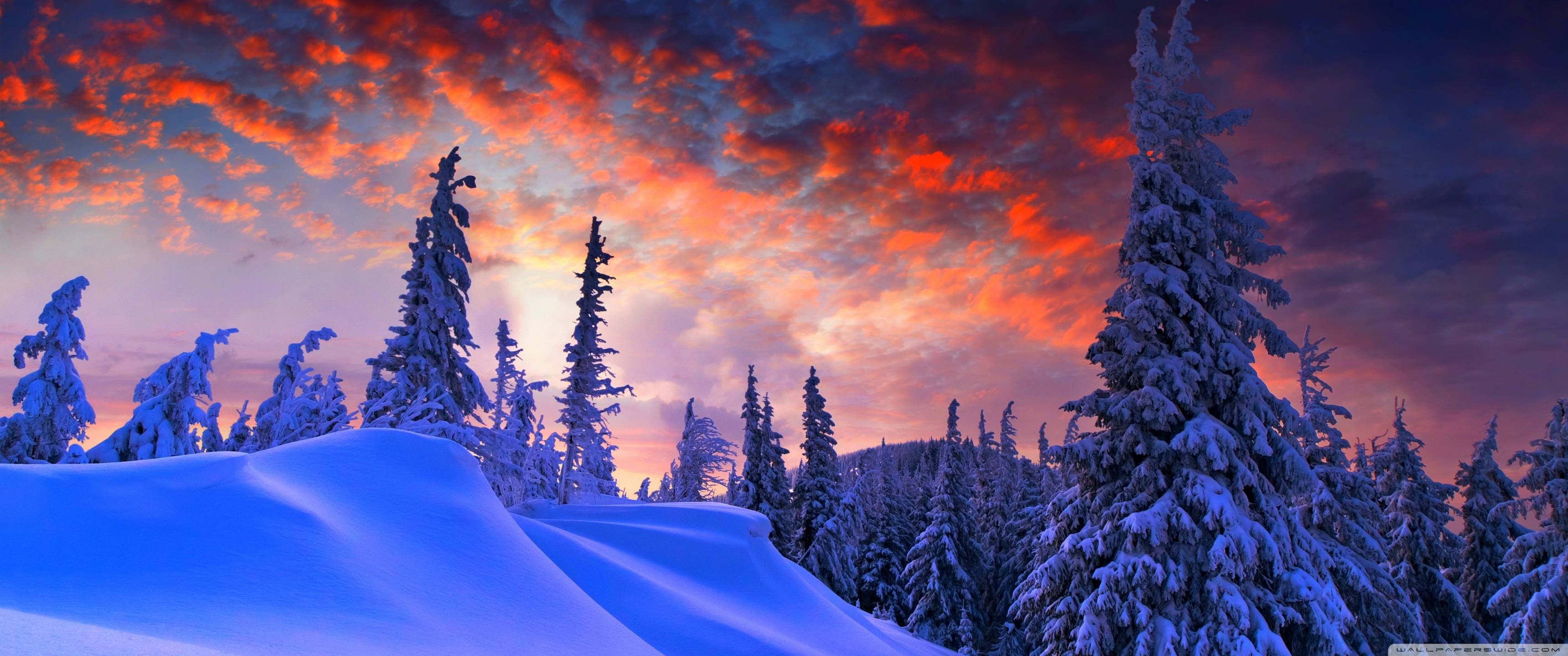 3440x1440 WQHD Wallpaper (3440x 1.34 Mb)