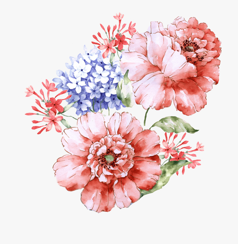 920x941 Watercolor Peony Wallpaper, Transparent Cartoon, Free Clipart & Silhouettes