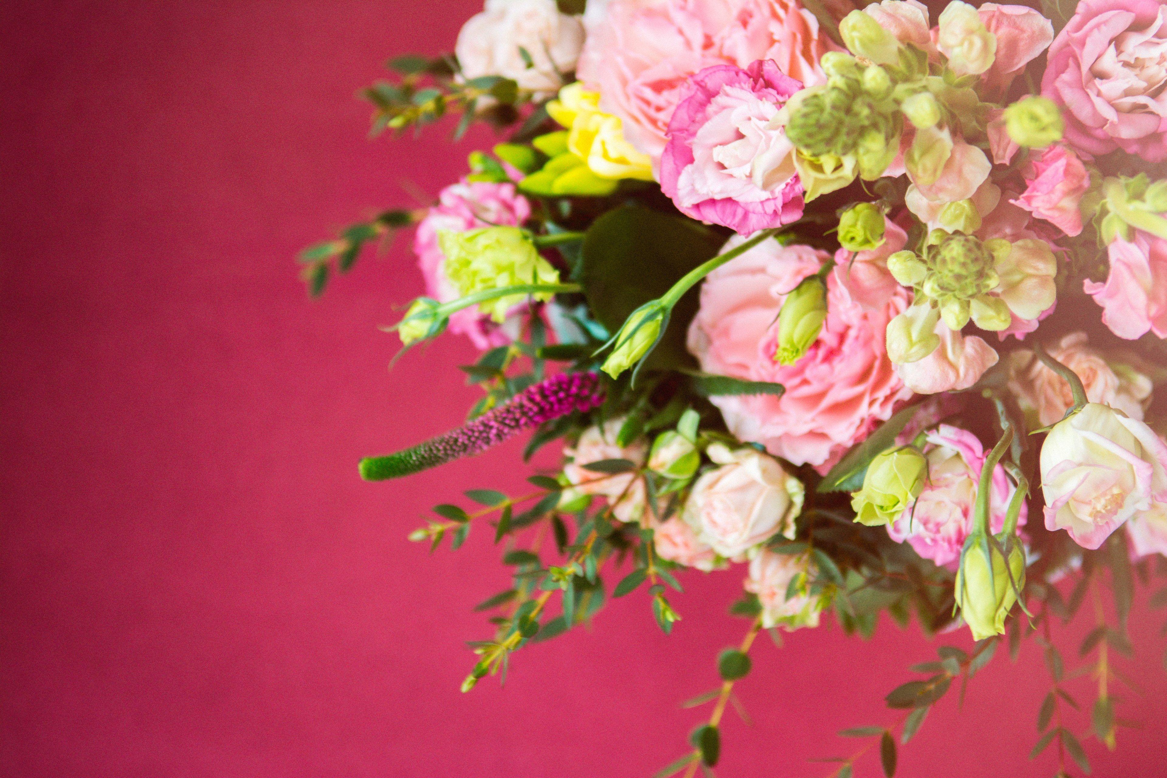 3840x2560 Wallpaper / a large bouquet of roses peonies and other smaller flowers, gorgeous bouquet on purple background 4k wallpaper