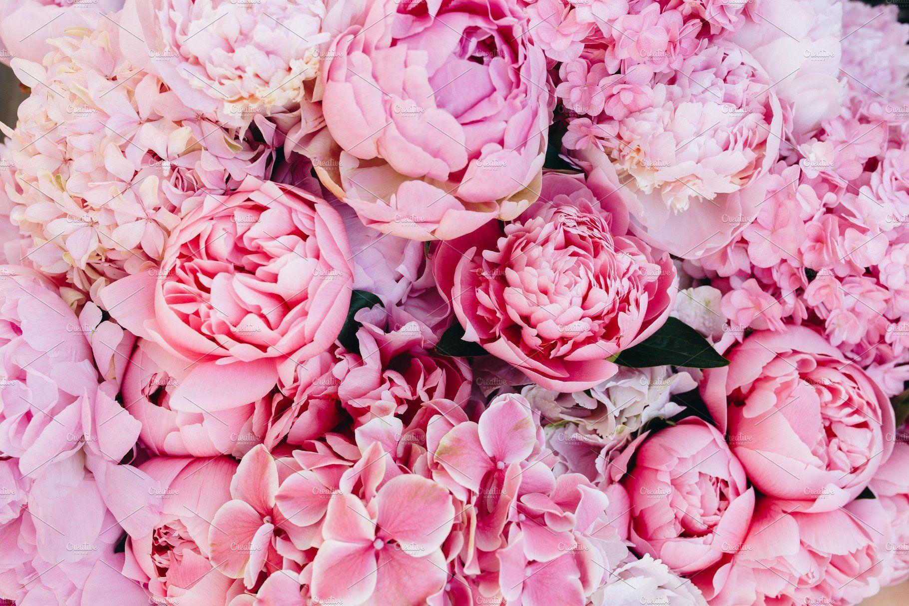 Peonies HD Wallpapers - Top Free Peonies HD Backgrounds - WallpaperAccess