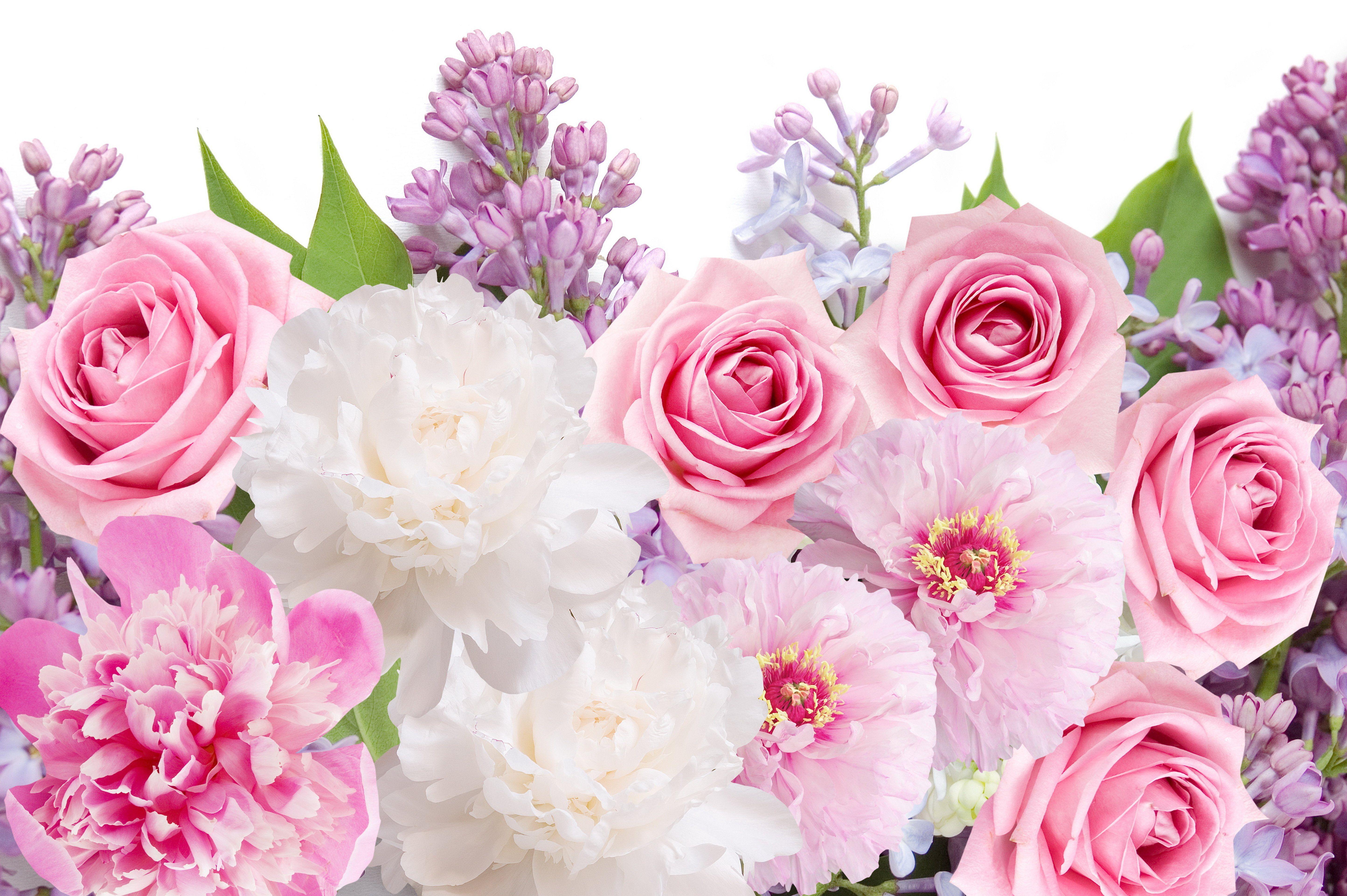 5777x3843 flowers, Peonies, Roses, Lilacs, Flowers, Peonies, Roses, Lilacs Wallpaper HD / Desktop and Mobile Background
