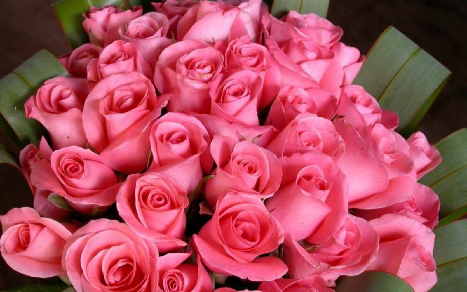 1600x1000 Most Beautiful Flower Wallpaper Flowers Delights