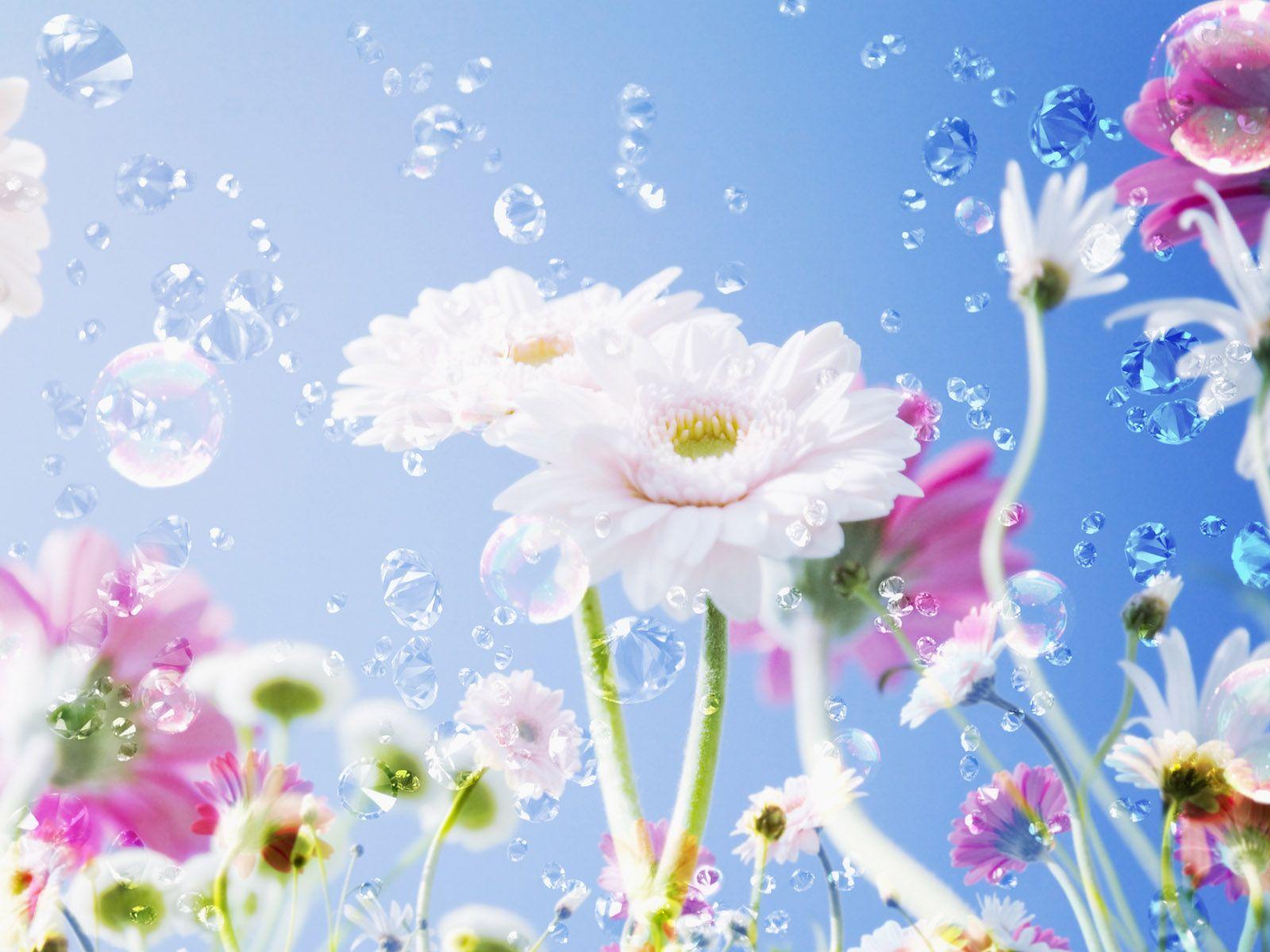 1600x1200 Beautiful Flower Wallpaper