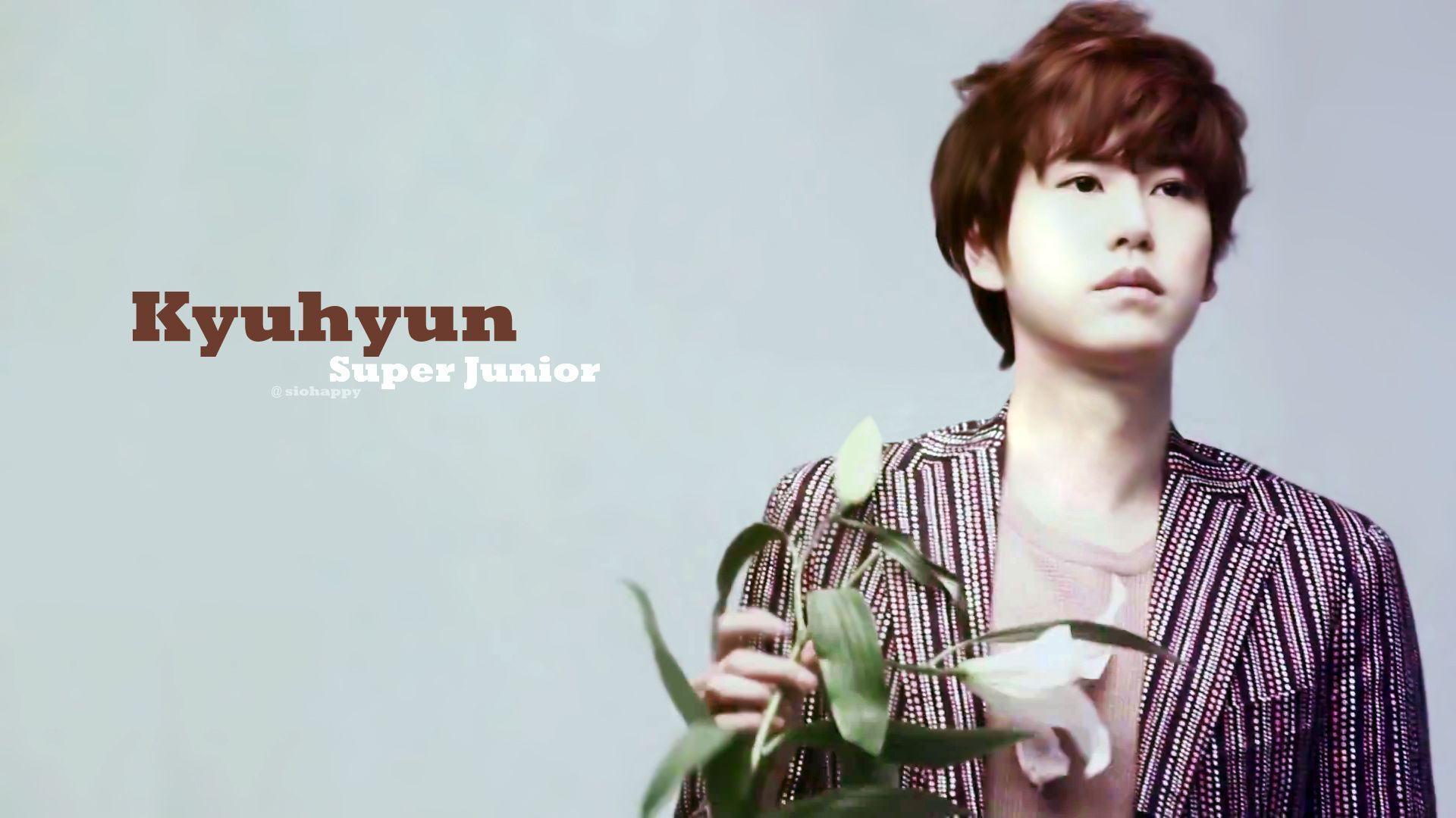 1920x1080 Kyuhyun Wallpaper HD