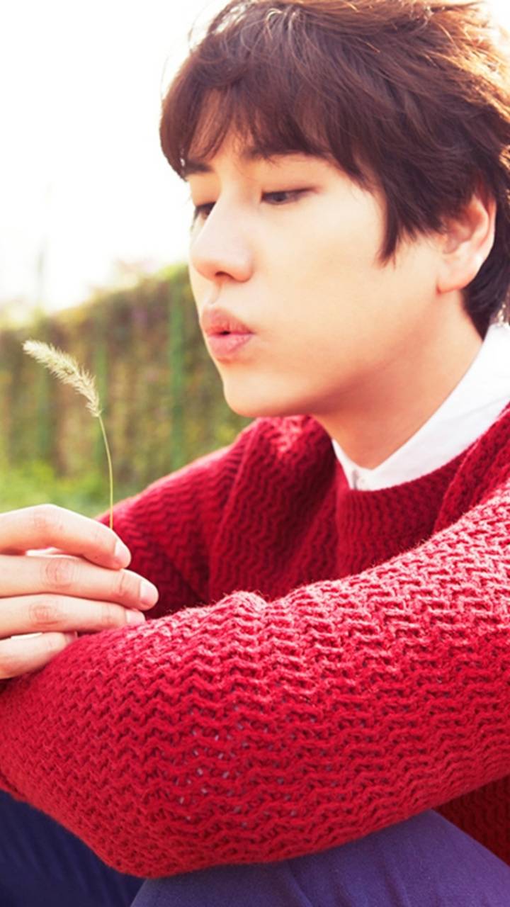 720x1280 KyuHyun wallpaper