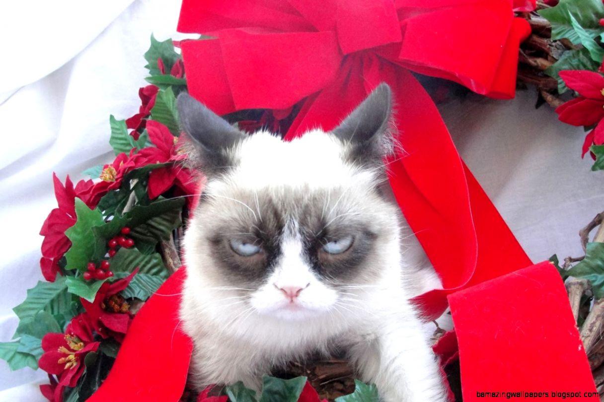 Grumpy Cat Merry Christmas Poster Zazzle Christmas Cats,