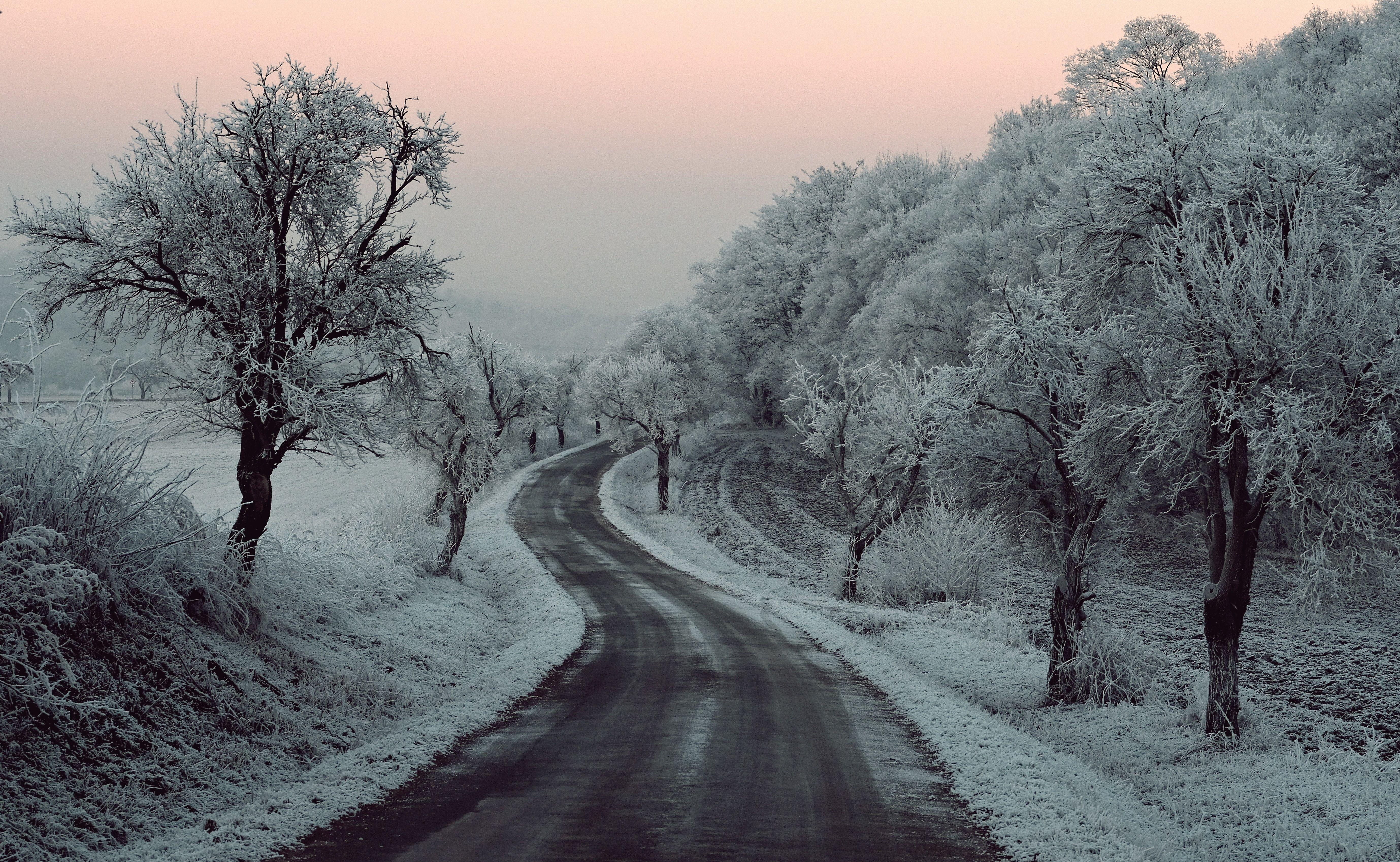 5514x3396 Winter Road Snow Frozen Trees On Sides 5k, HD Nature, 4k Wallpaper, Image, Background, Photo and Picture