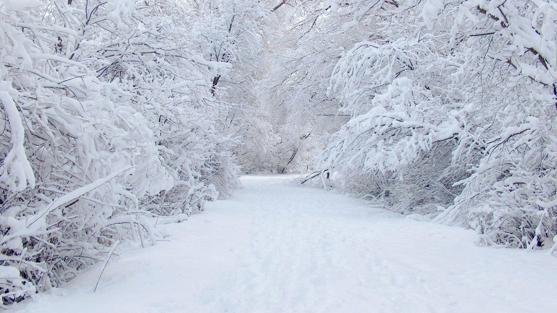 1920x1080 Free download Snow road wallpaper [1920x1080] for your Desktop, Mobile & Tablet. Explore Snow Wallpaper. Free Wallpaper Snow, Beautiful Winter Wallpaper, Christmas Snow Wallpaper