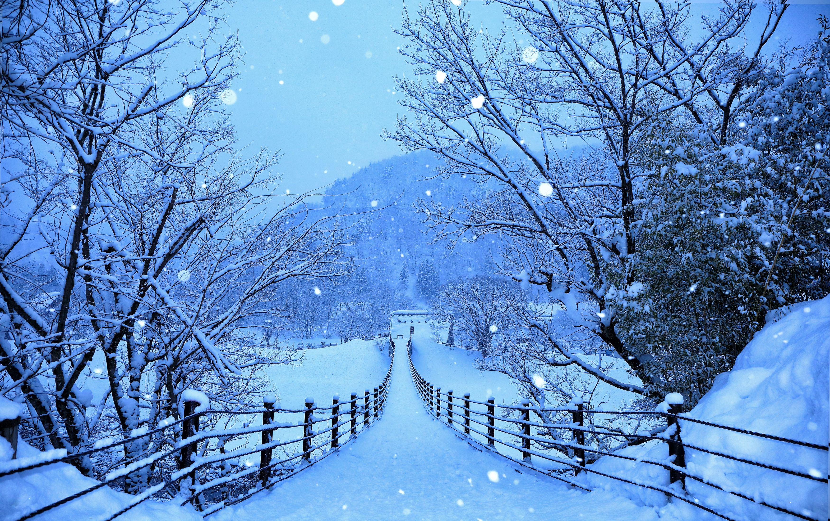 3500x2200 Winter, Snow, Road, Trees (3500x2200) Wallpaper, Image, Background, Picture