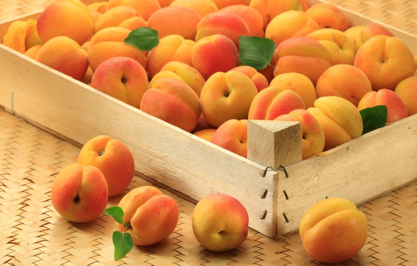 Apricot Wallpapers - Top Free Apricot Backgrounds - WallpaperAccess