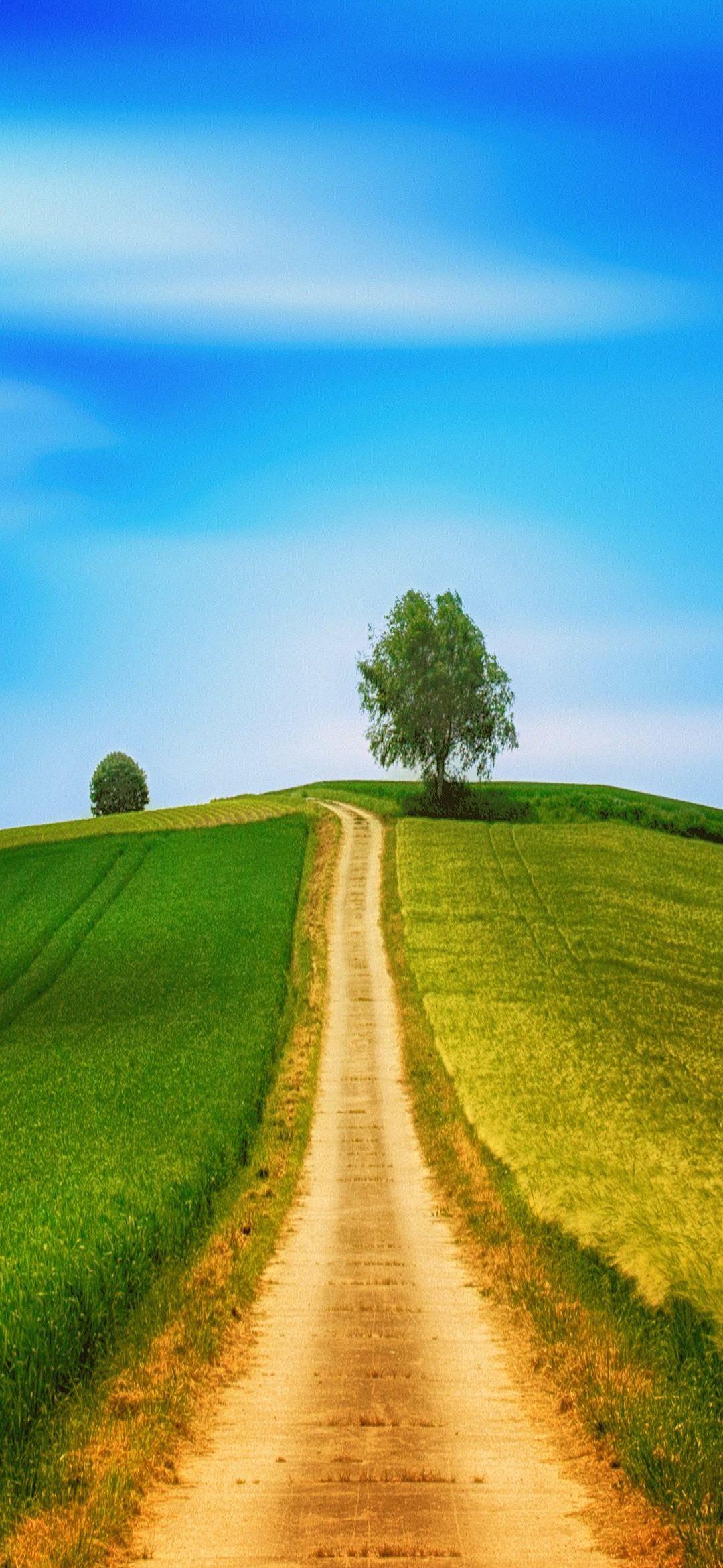 1080x2340 Free High Quality Xiaomi Redmi Note 8 Nature Wallpaper