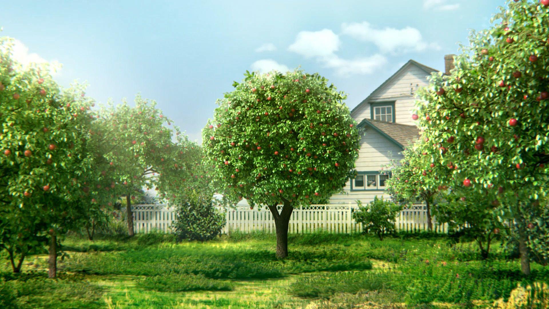 Fruit Garden Wallpapers Top Free Fruit Garden Backgrounds