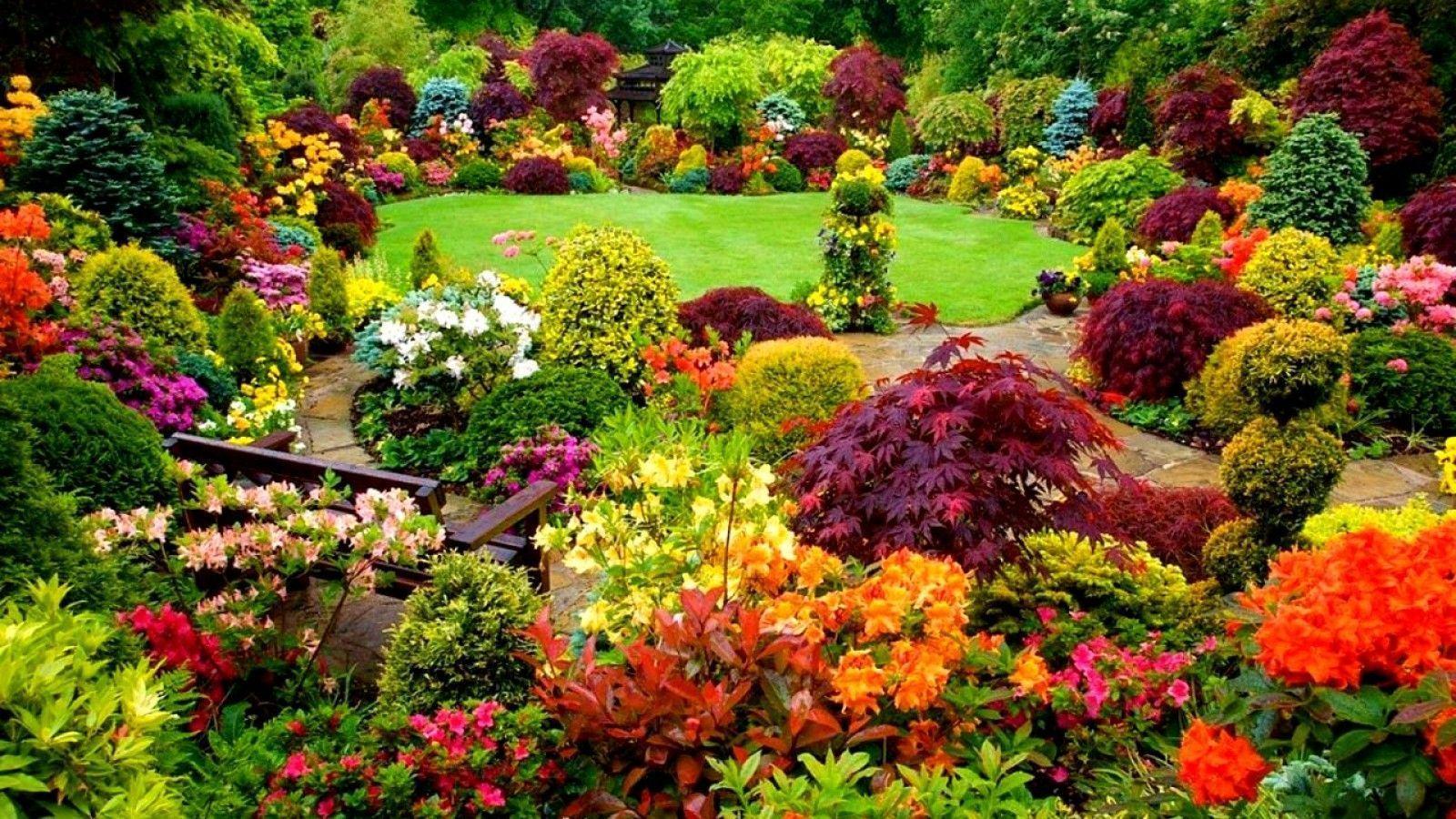 1600x900 Best Garden Wallpaper Free DPix HD Wallpaper Your Homes Design