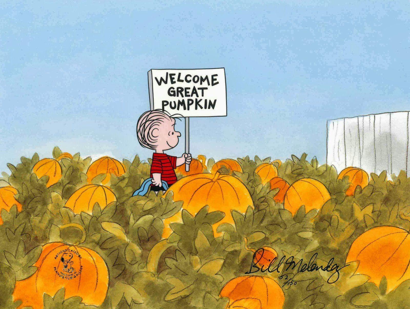 1600x1204 Pumpkin patch halloween autumn peanuts wallpaperx1204