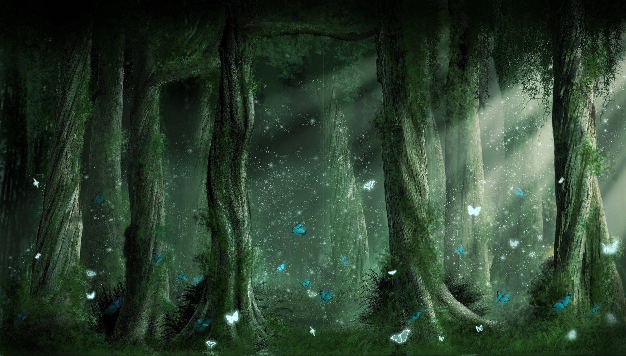 2481x1409 fantasy forest wallpaper