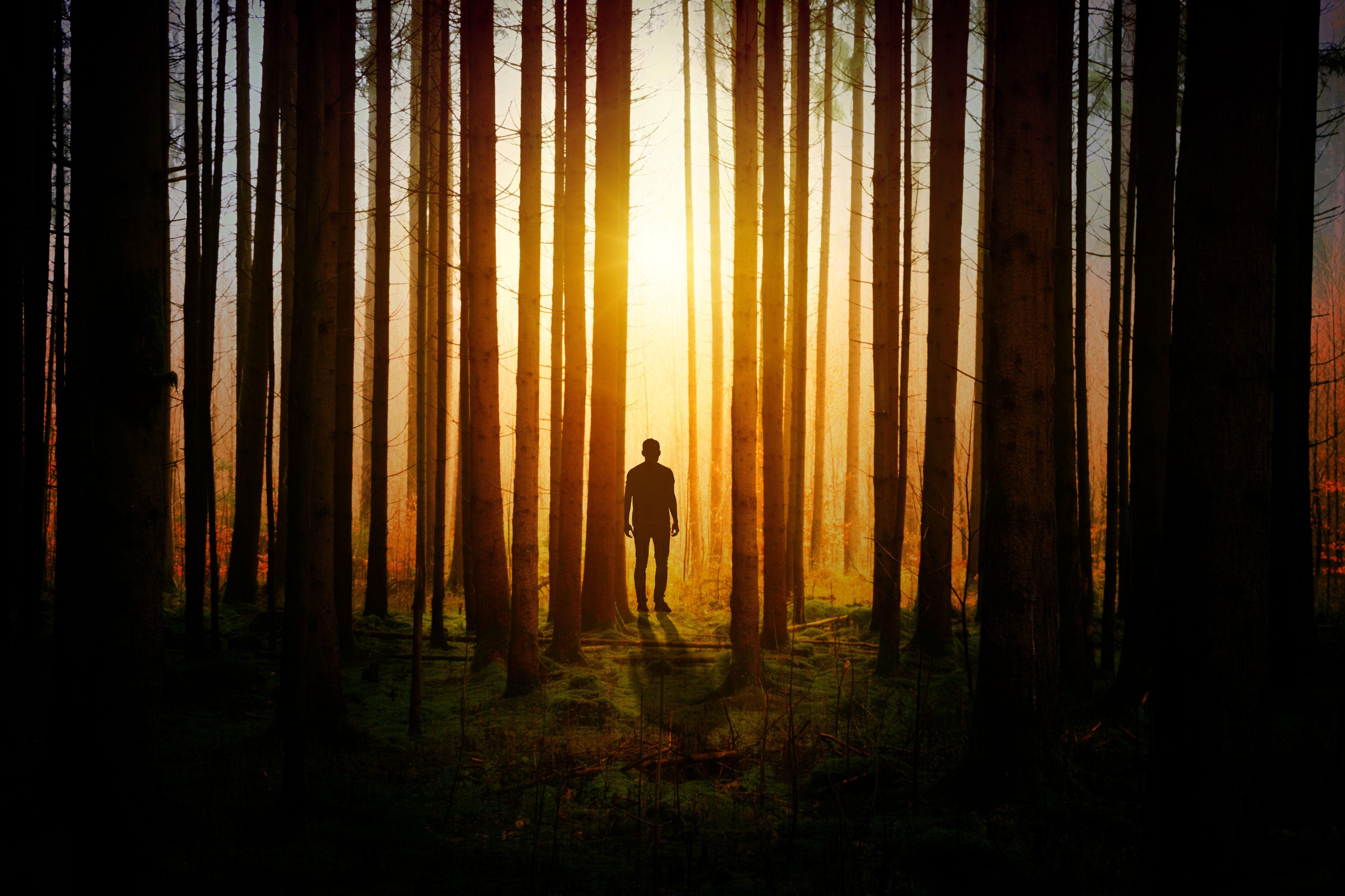 4752x3168 silhouette man forest trees High Quality Wallpaper, High Definition Wallpaper