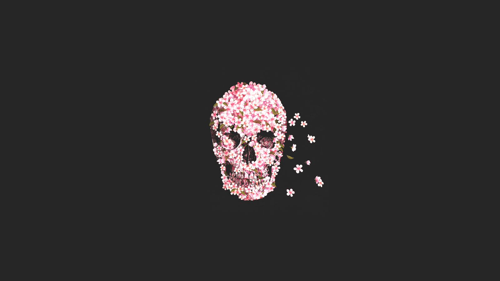 1600x900 skull minimalistic. Flower skull, Skull wallpaper, Pink wallpaper iphone