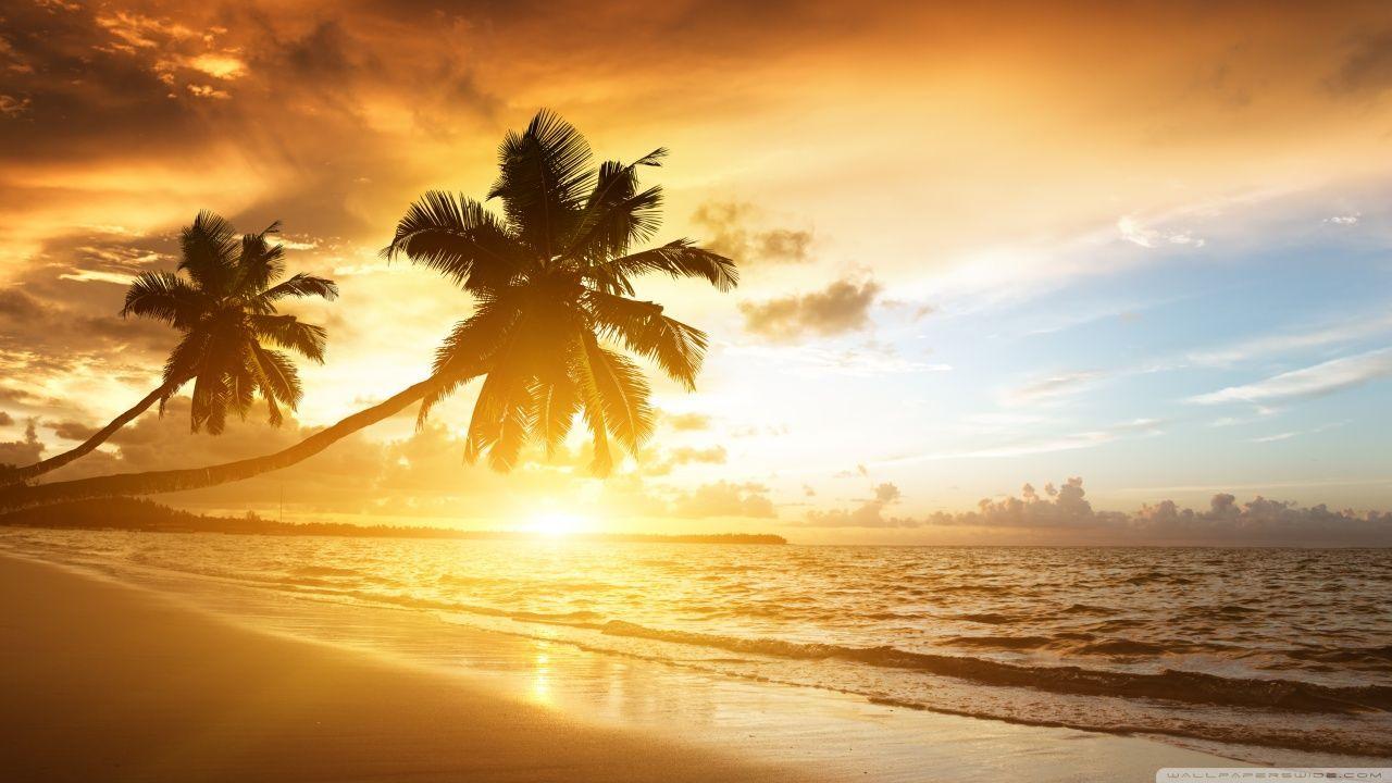 1280x720 HD Wallpaper Amazing