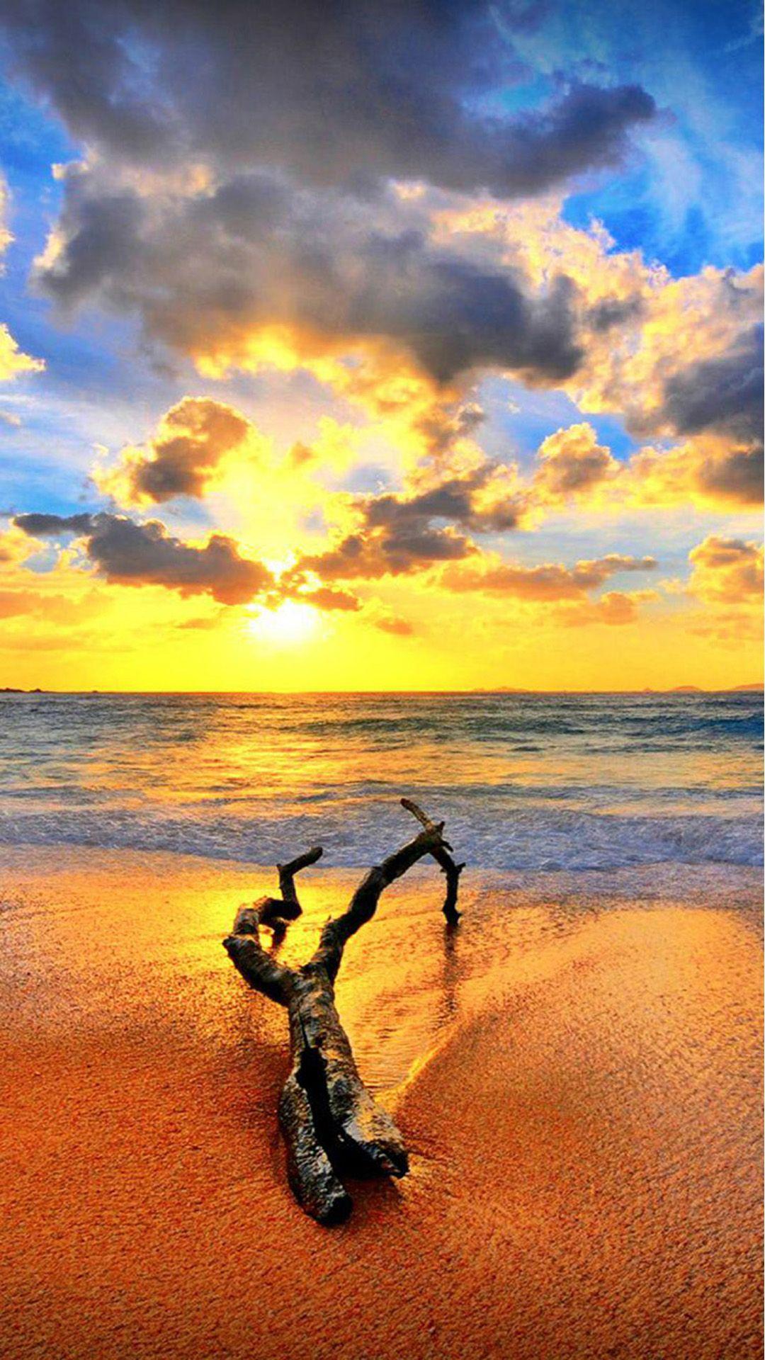 1080x1920 Wither Wood On Spectacular SUnset Beach Landscape iPhone 8 Wallpaper Free Download