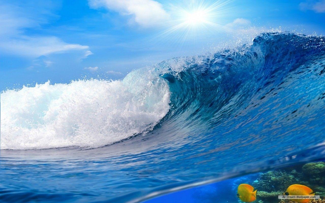 1280x800 Free Wallpaper Nature wallpaper sea wallpaper