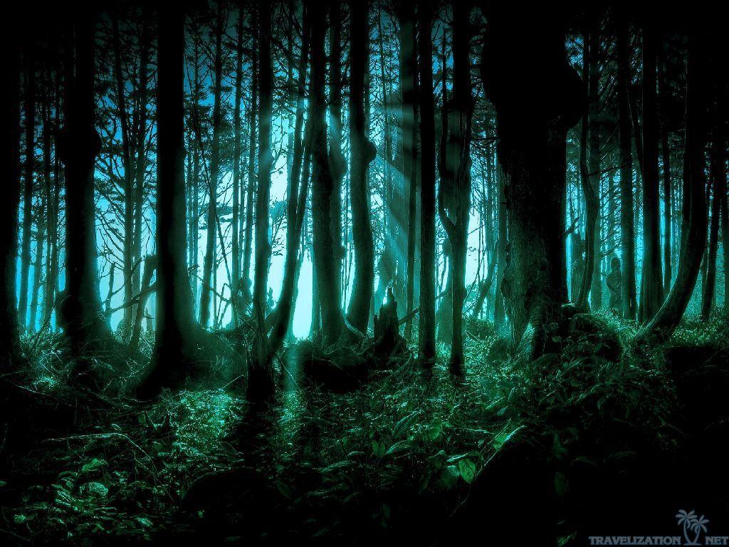 Dark Nature Wallpapers - Top Free Dark Nature Backgrounds - WallpaperAccess