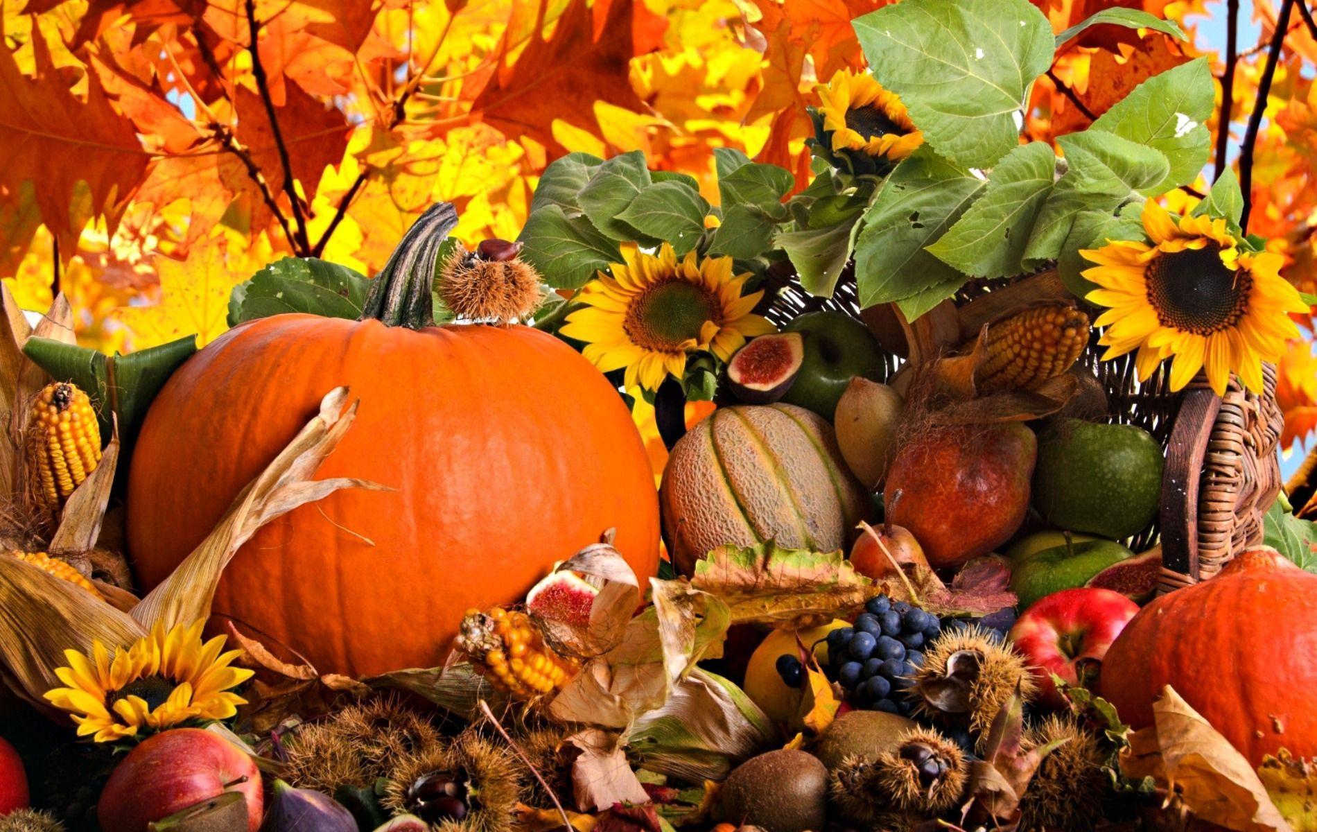 1900x1200 Autumn Harvest Desktop Background 900×200 Pixels. Desktop Wallpaper Fall, Fall Wallpaper, Fall Cover Photo