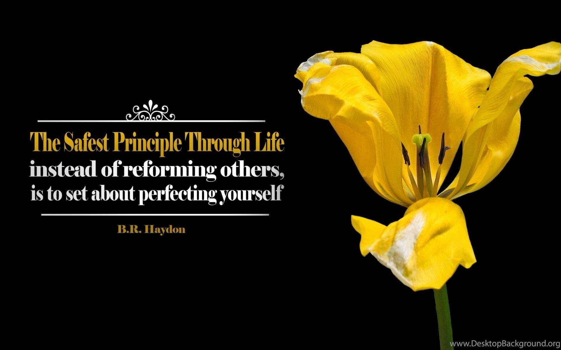 1920x1200 Best Motivational Quotes Wallpaper AtozWallpaper Desktop Background