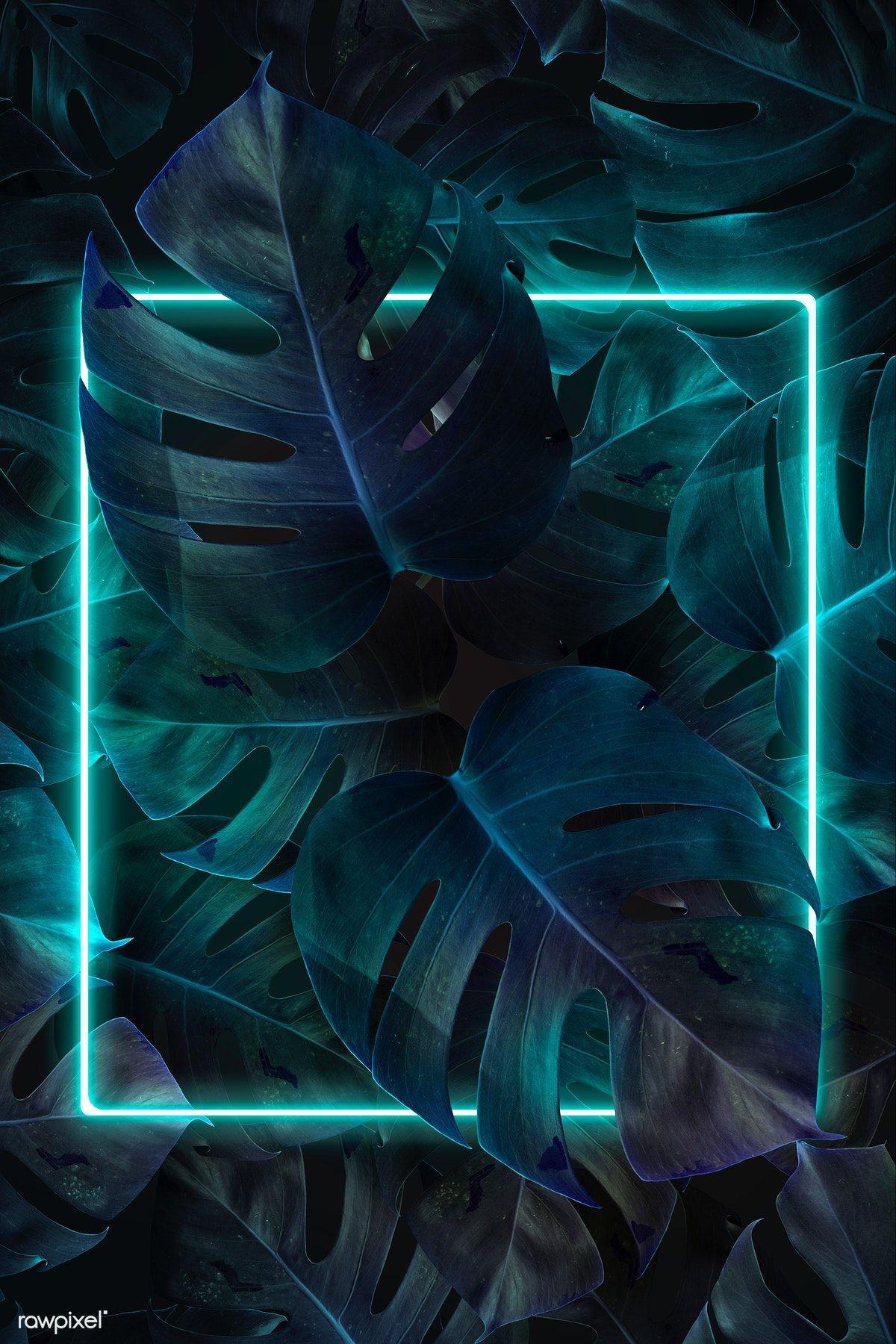 Neon Turquoise Wallpapers - Top Free Neon Turquoise Backgrounds