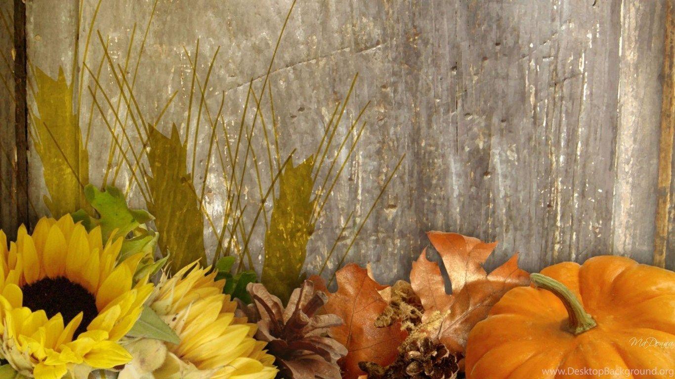 1366x768 Gallery For Autumn Harvest Desktop Wallpaper Desktop Background