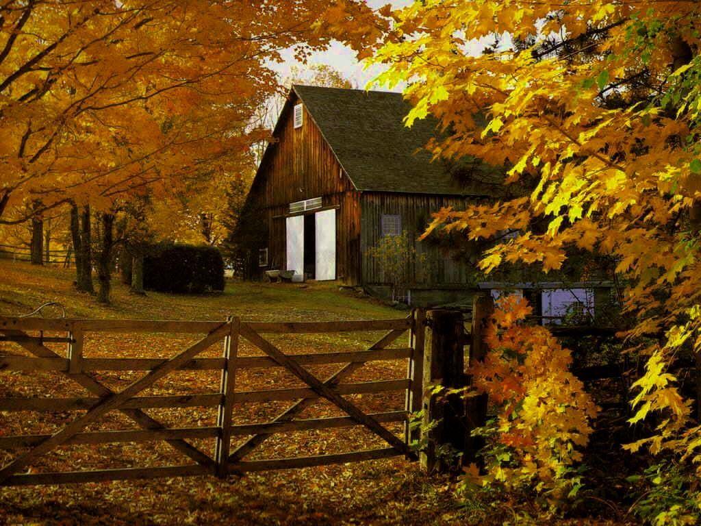 1024x768 Fall Harvest Wallpaper 1080p Free Download > SubWallpaper